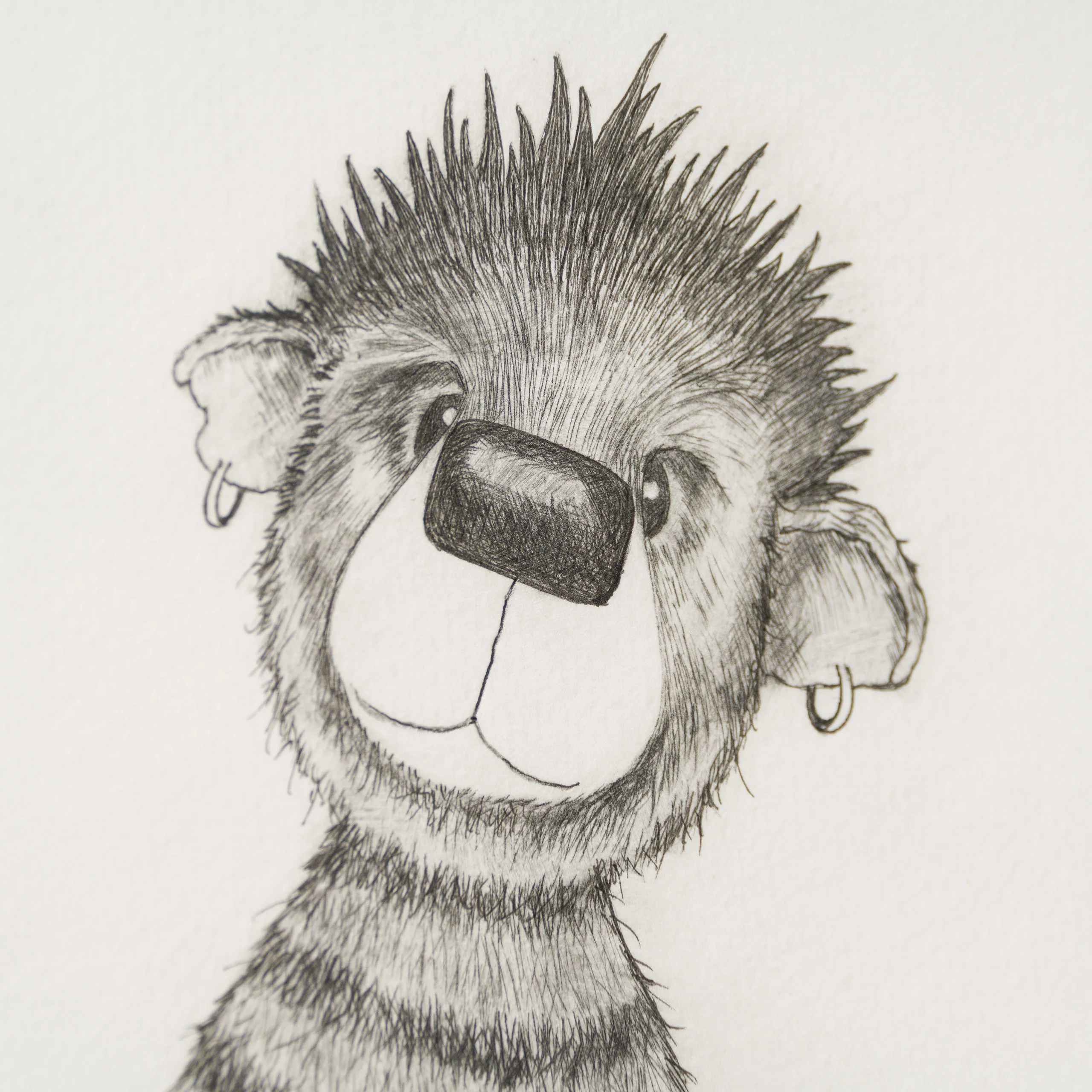 Anarchy Bear XIV - Image 2