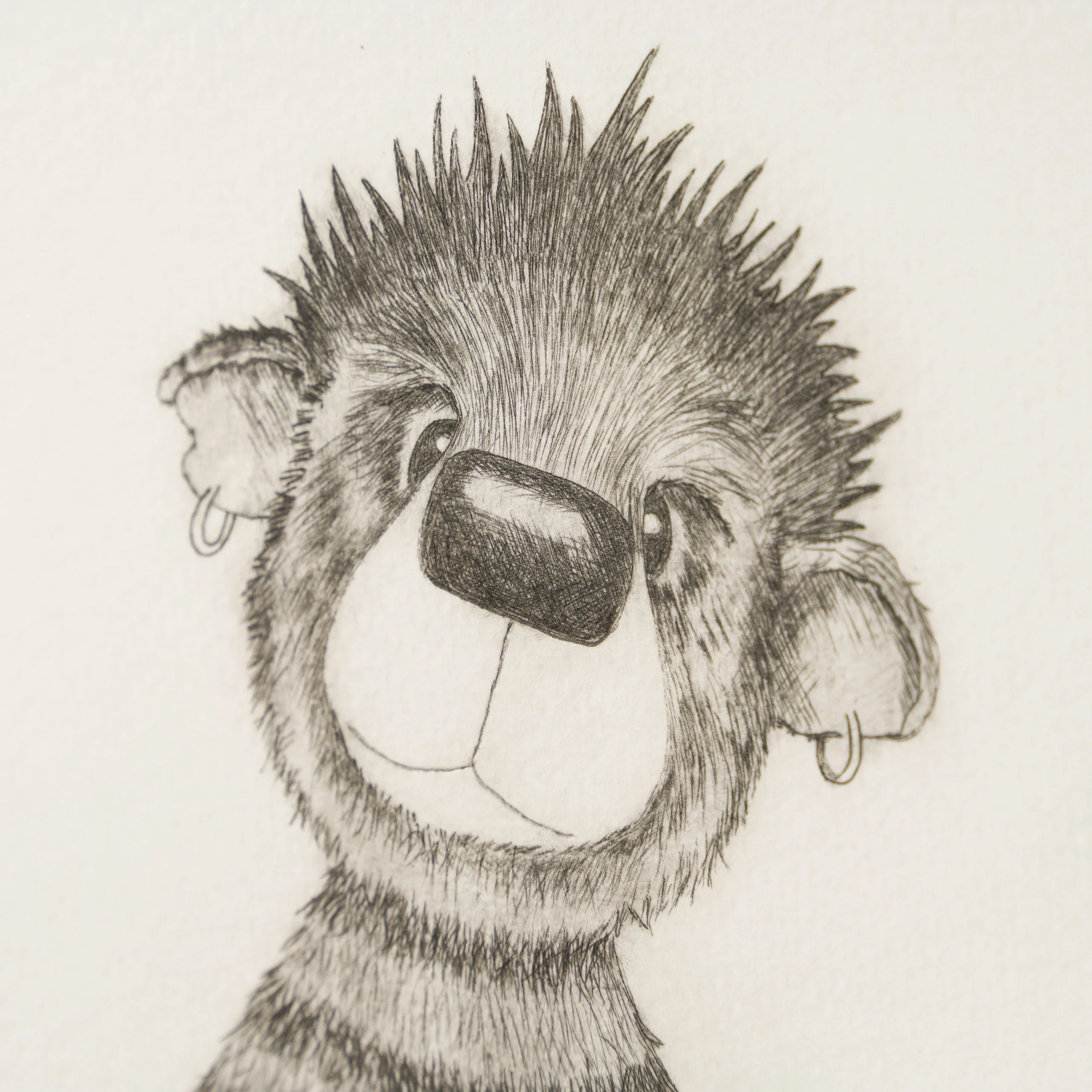 Anarchy Bear XVI - Image 5