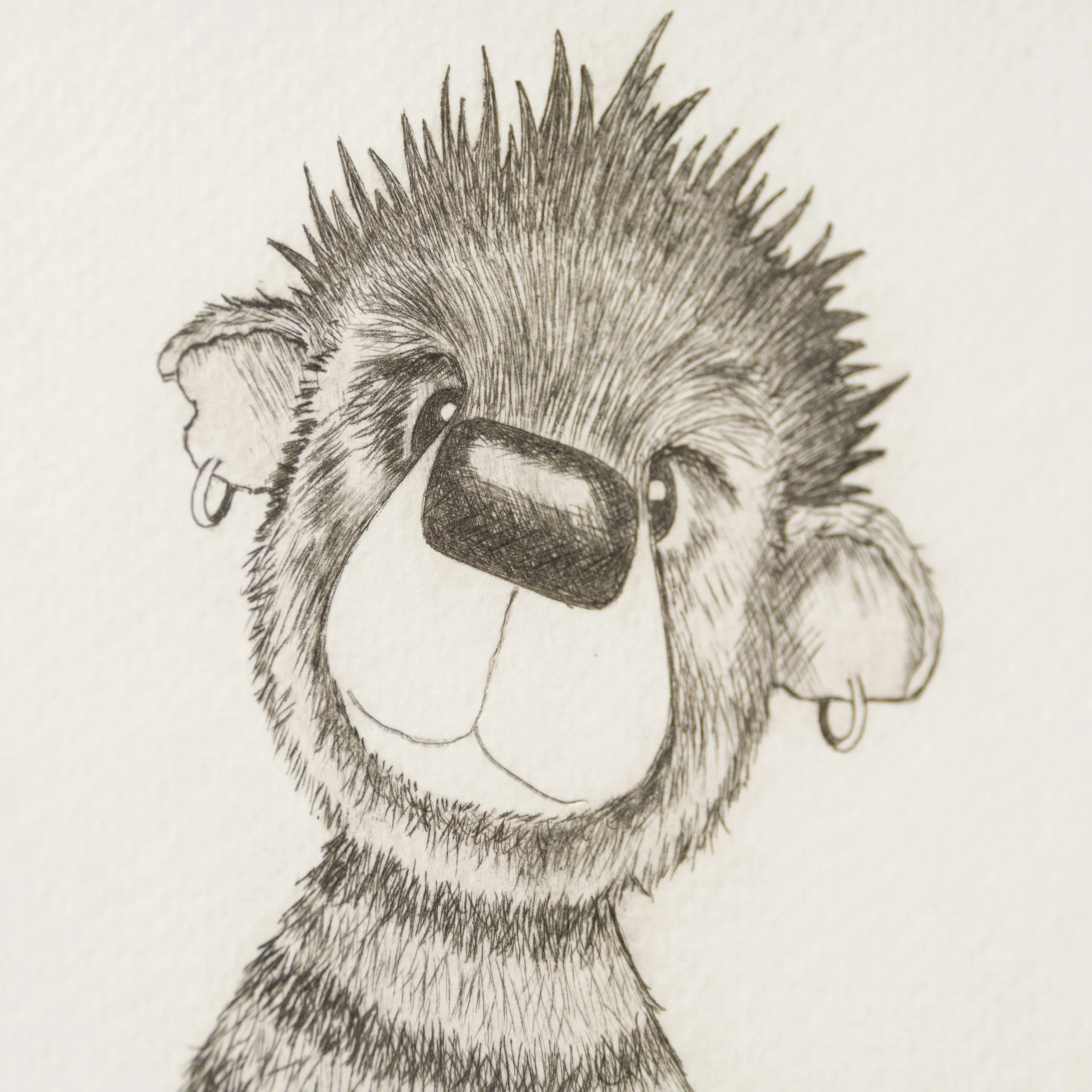Anarchy Bear XVII - Image 5