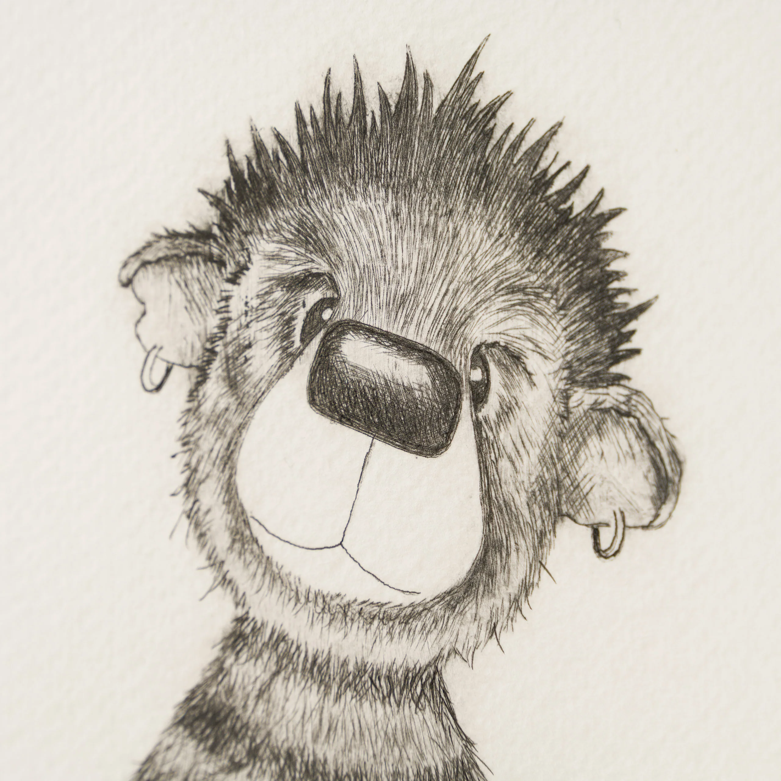 Anarchy Bear XVIII - Image 2