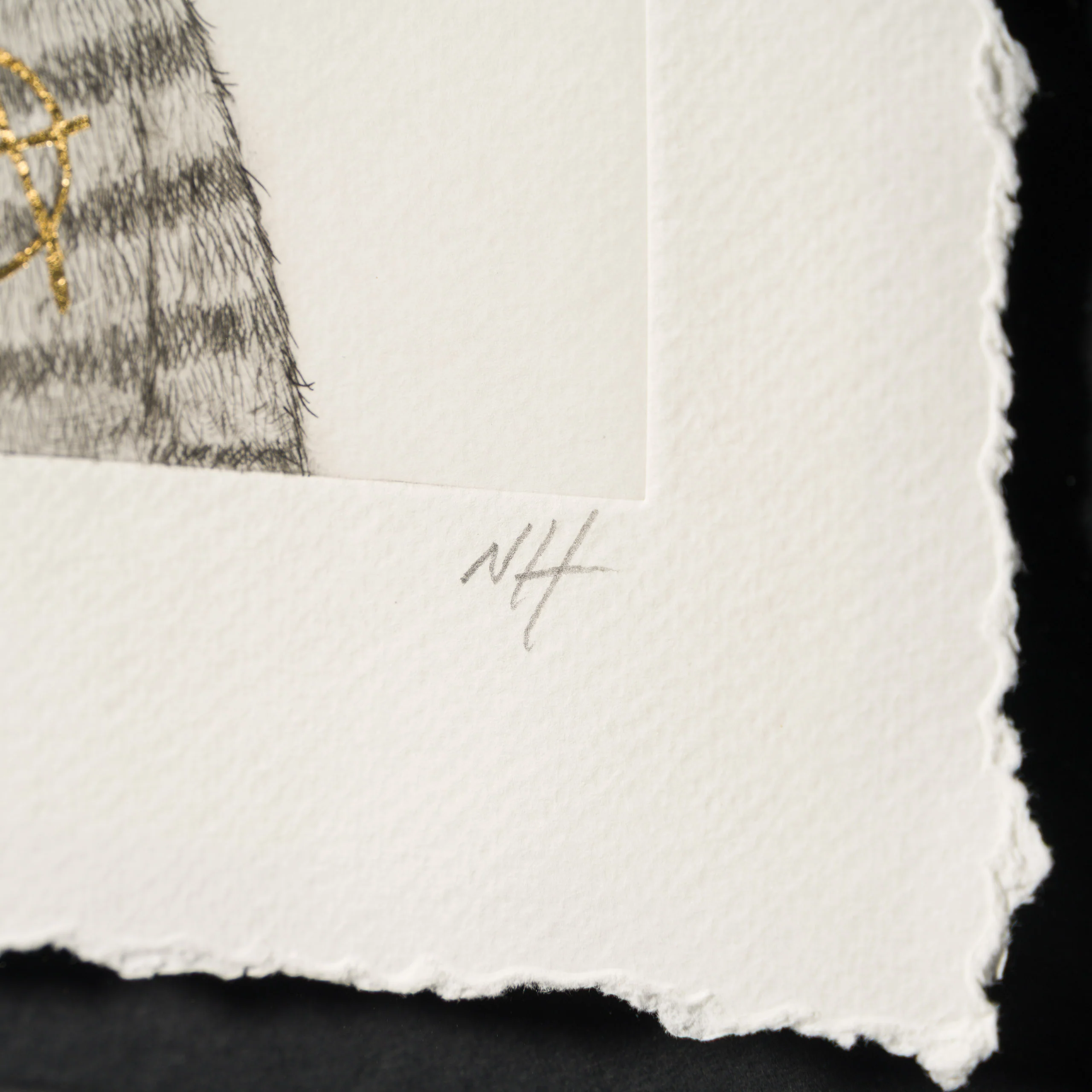 Anarchy Bear XVIII - Image 3