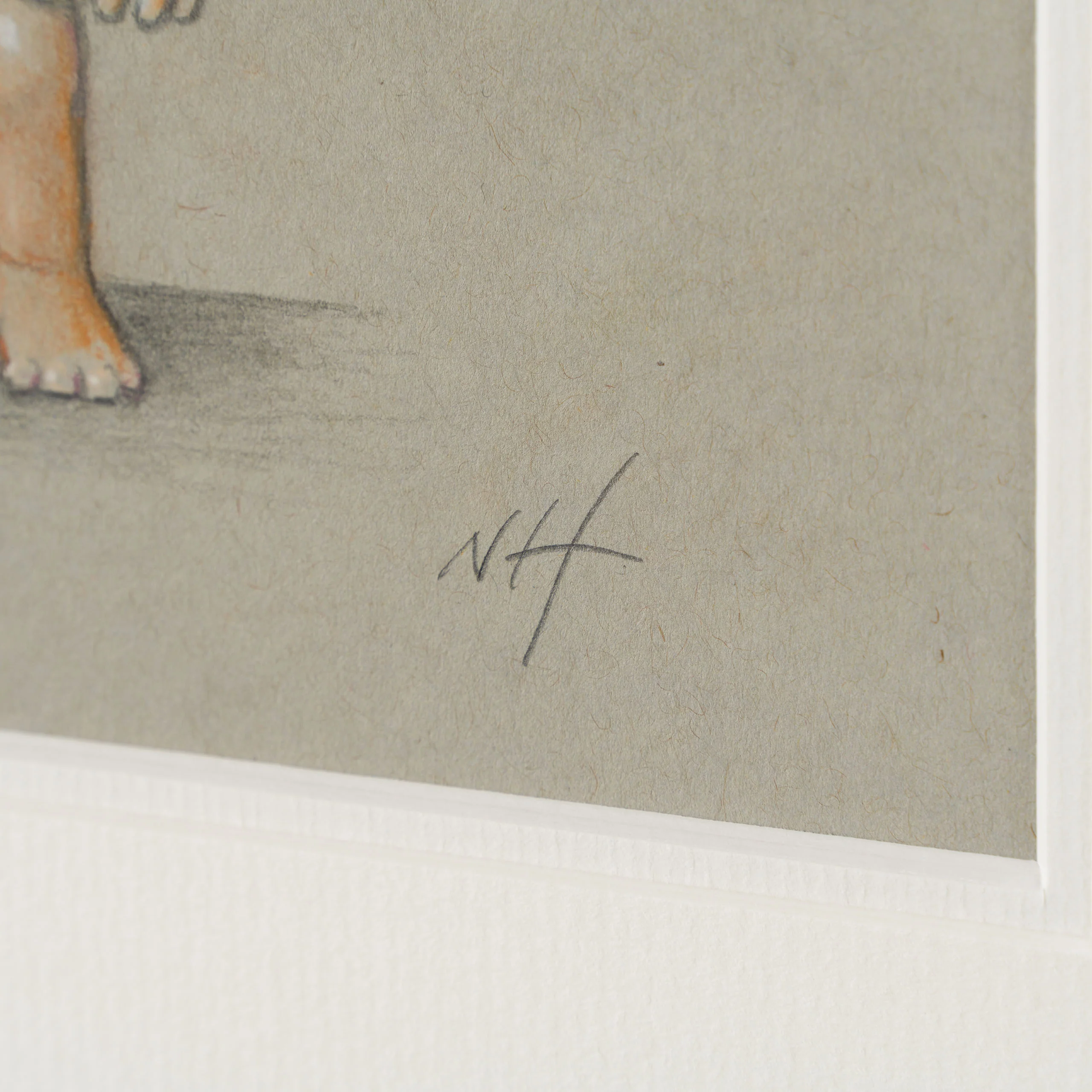 Dobby - Image 6