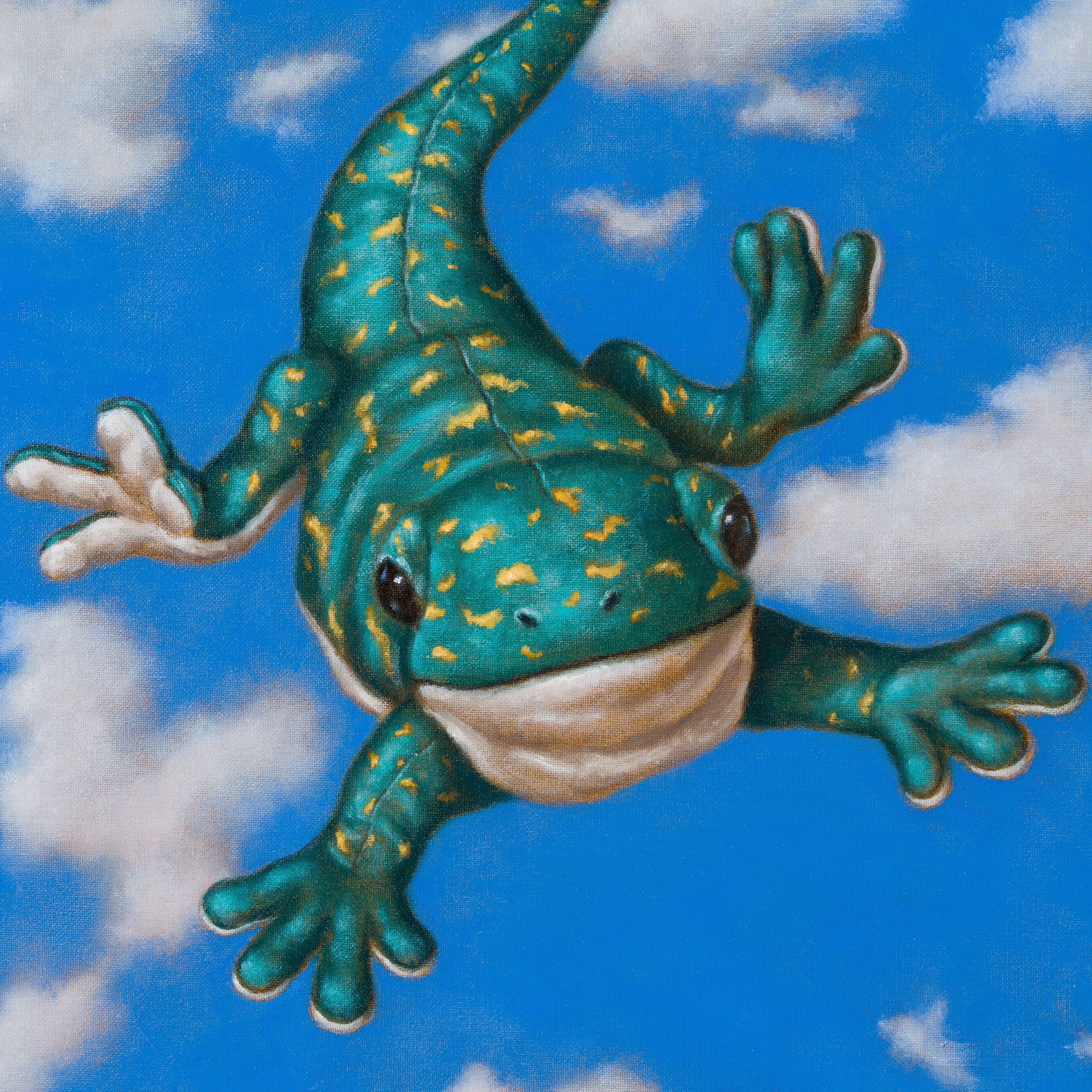 Flying Lizard (Oil) - Image 6