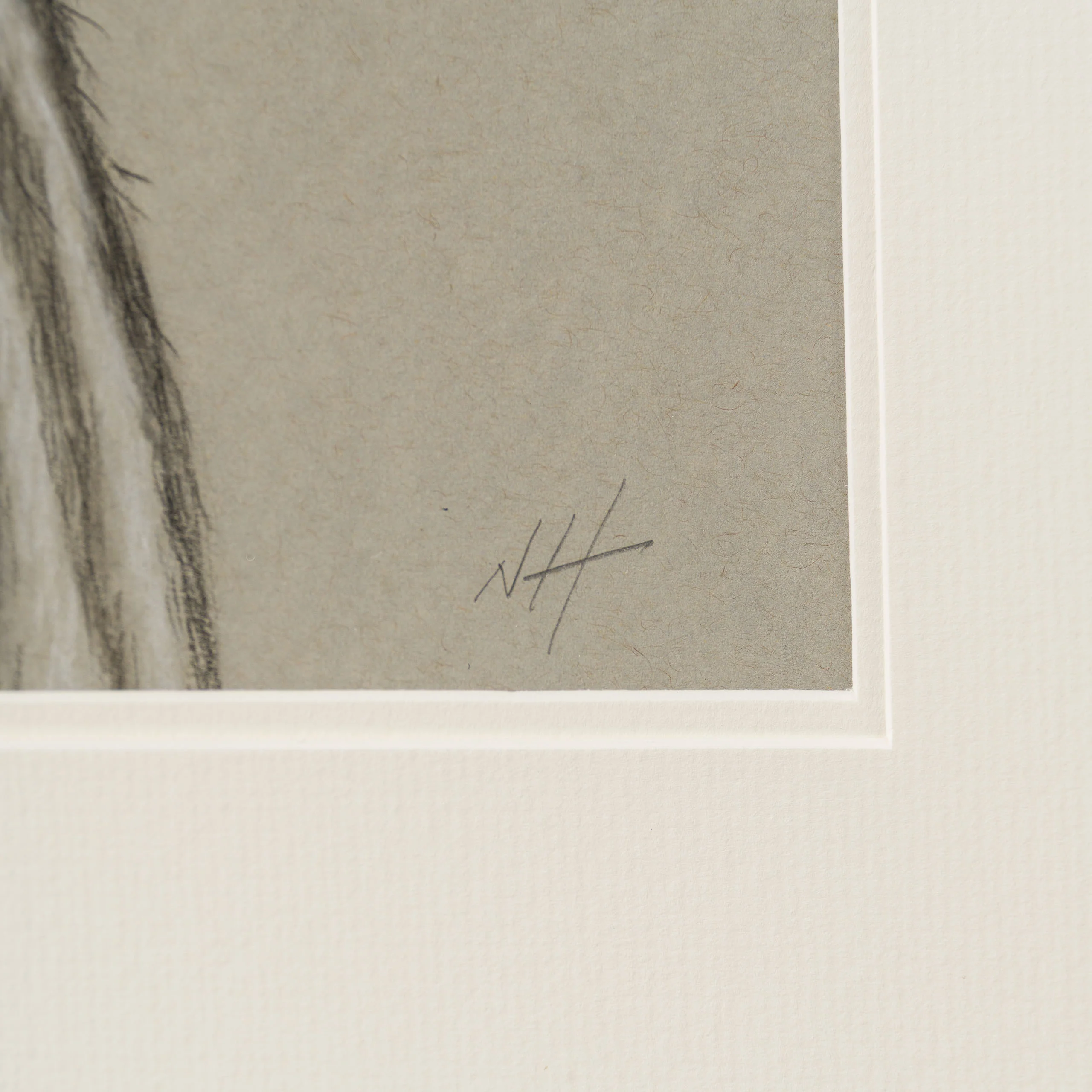 Indie Bear - Image 3