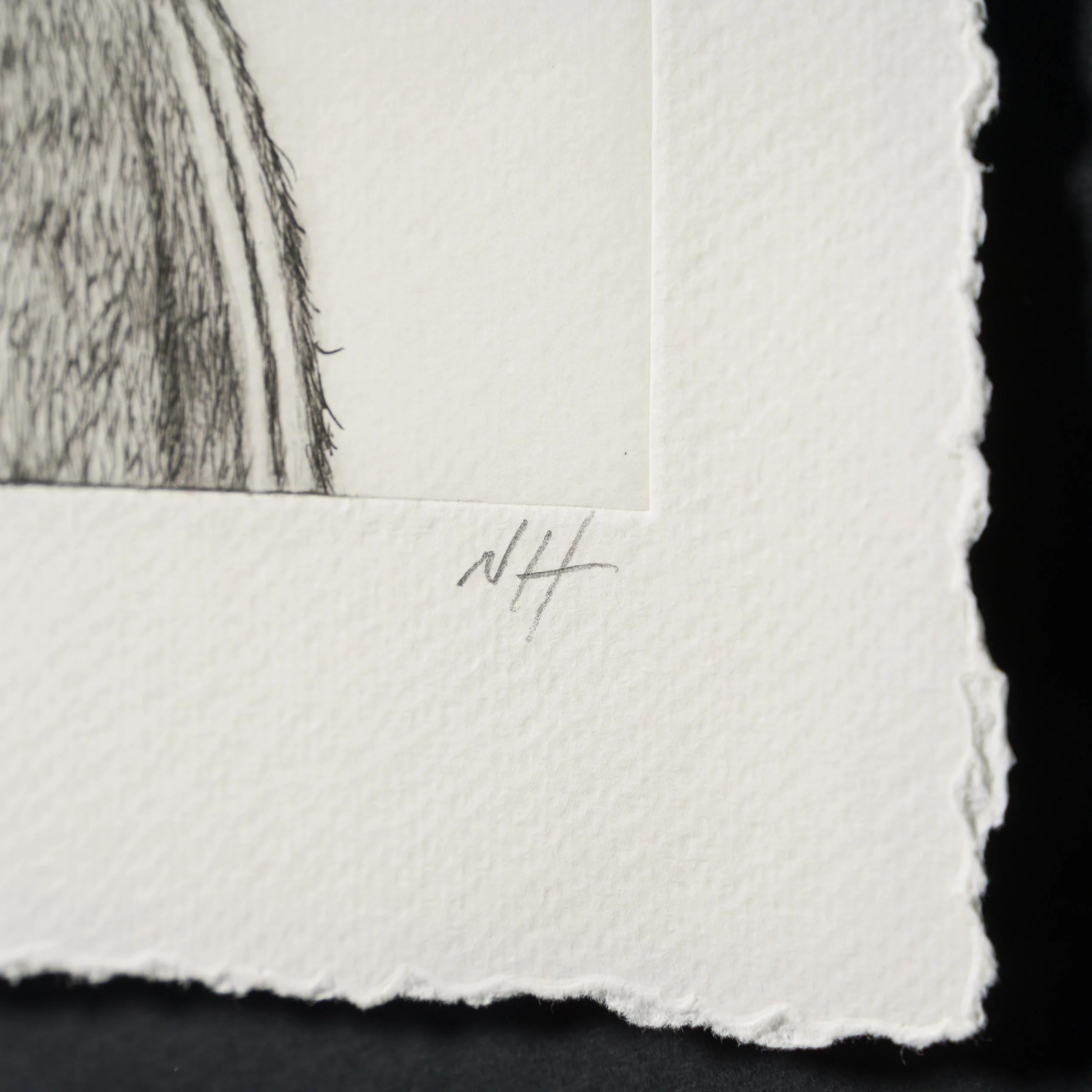 Indie Bear VI - Image 4