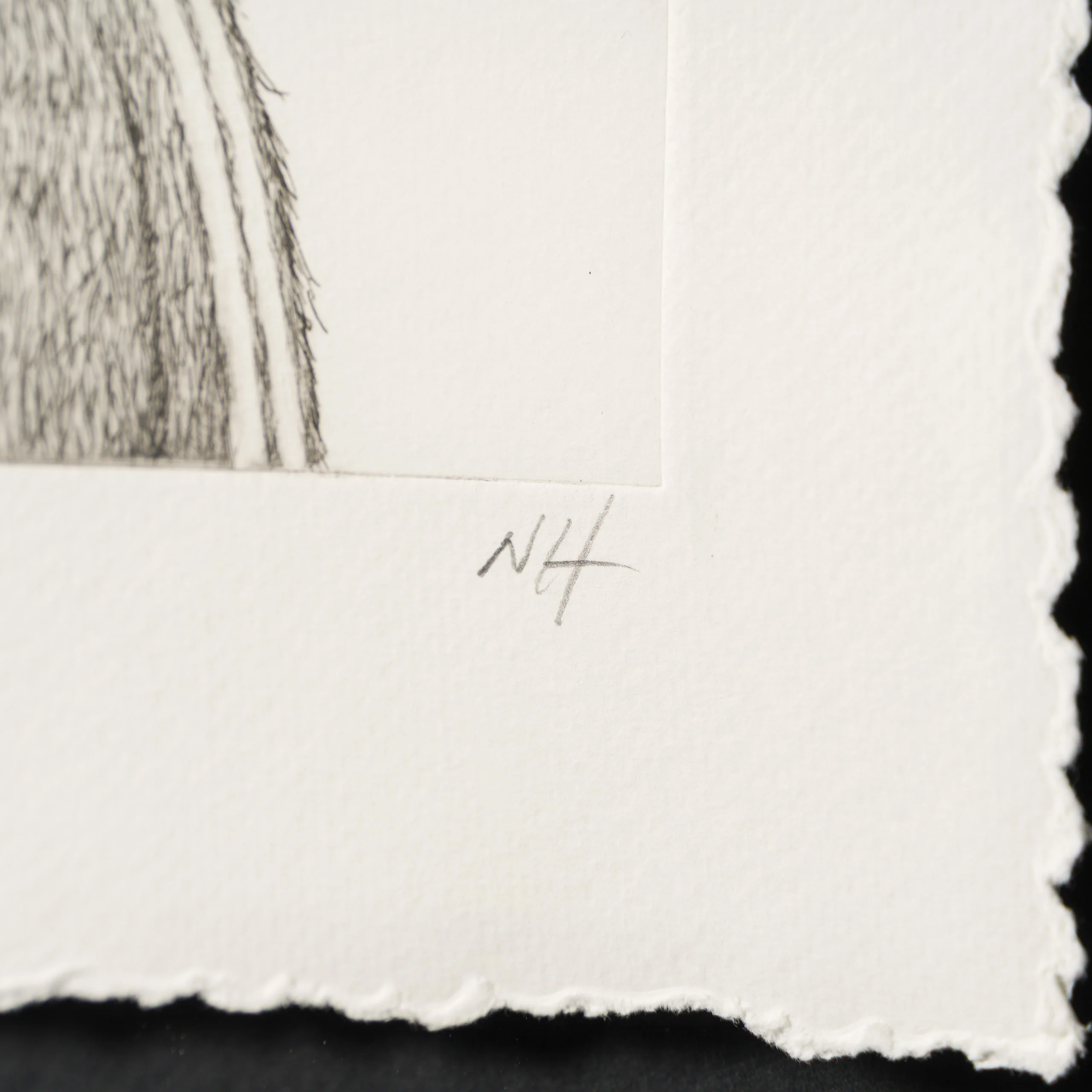 Indie Bear XVIII - Image 3