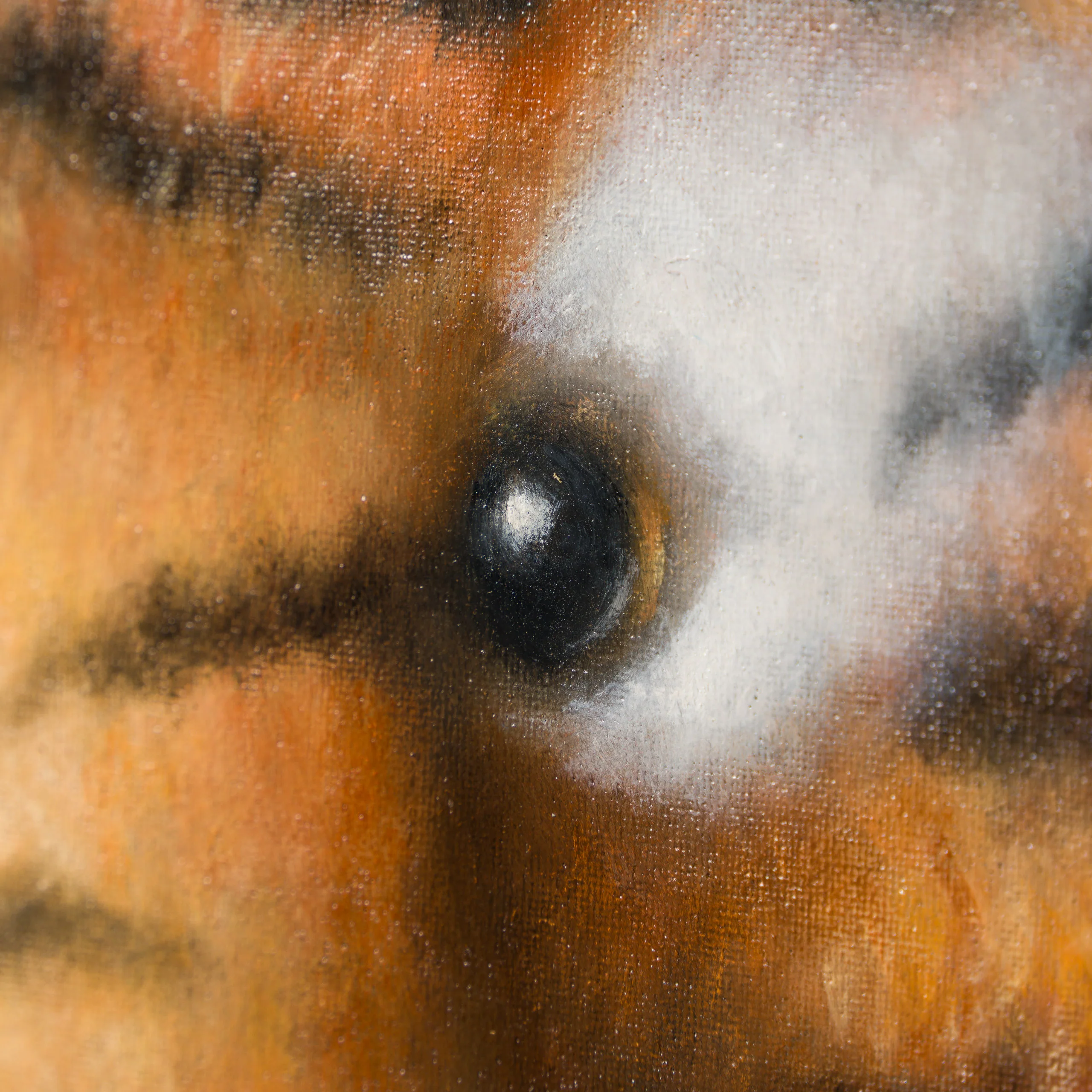 Jumping Tiger - Image 2