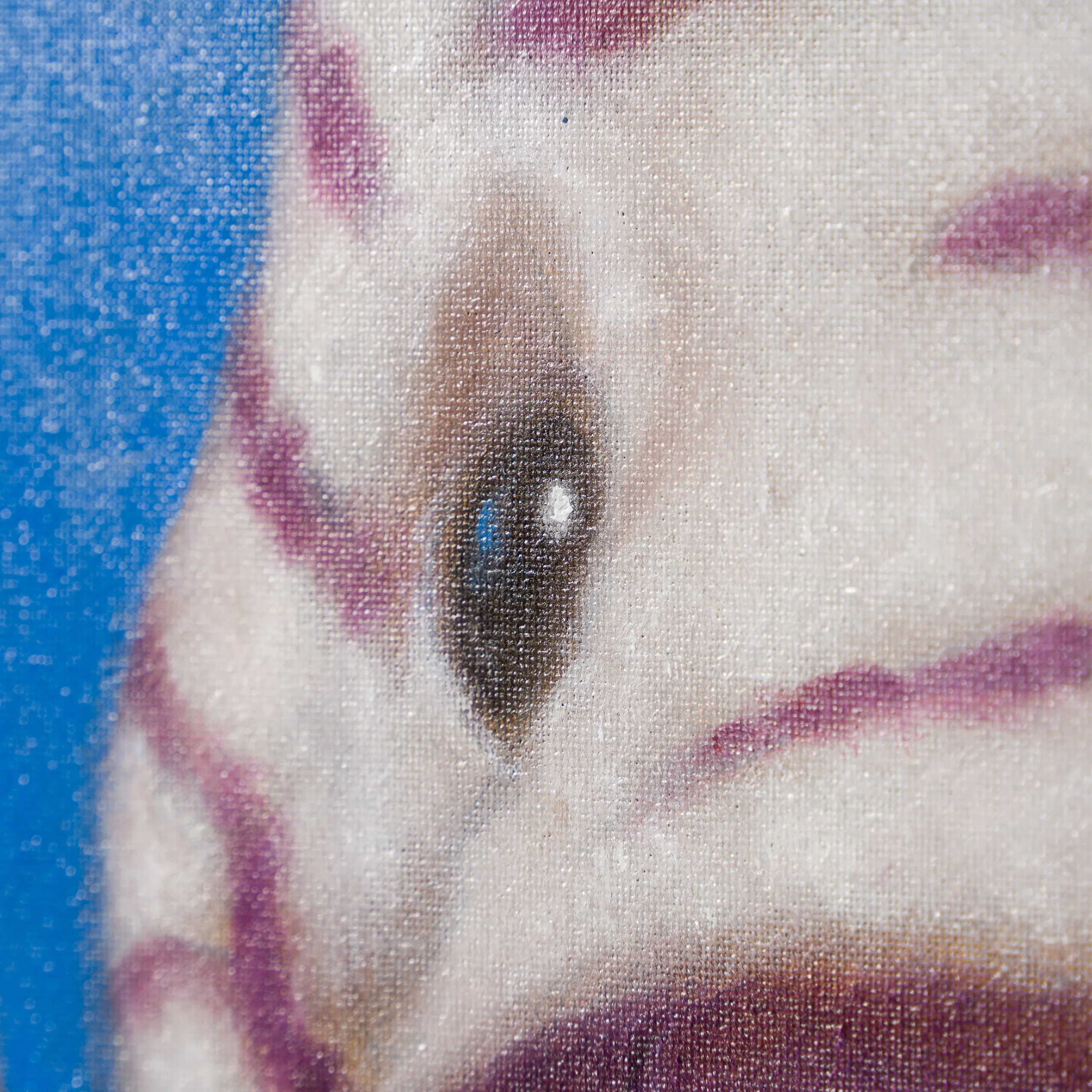 Jumping Zebra (Oil) - Image 4