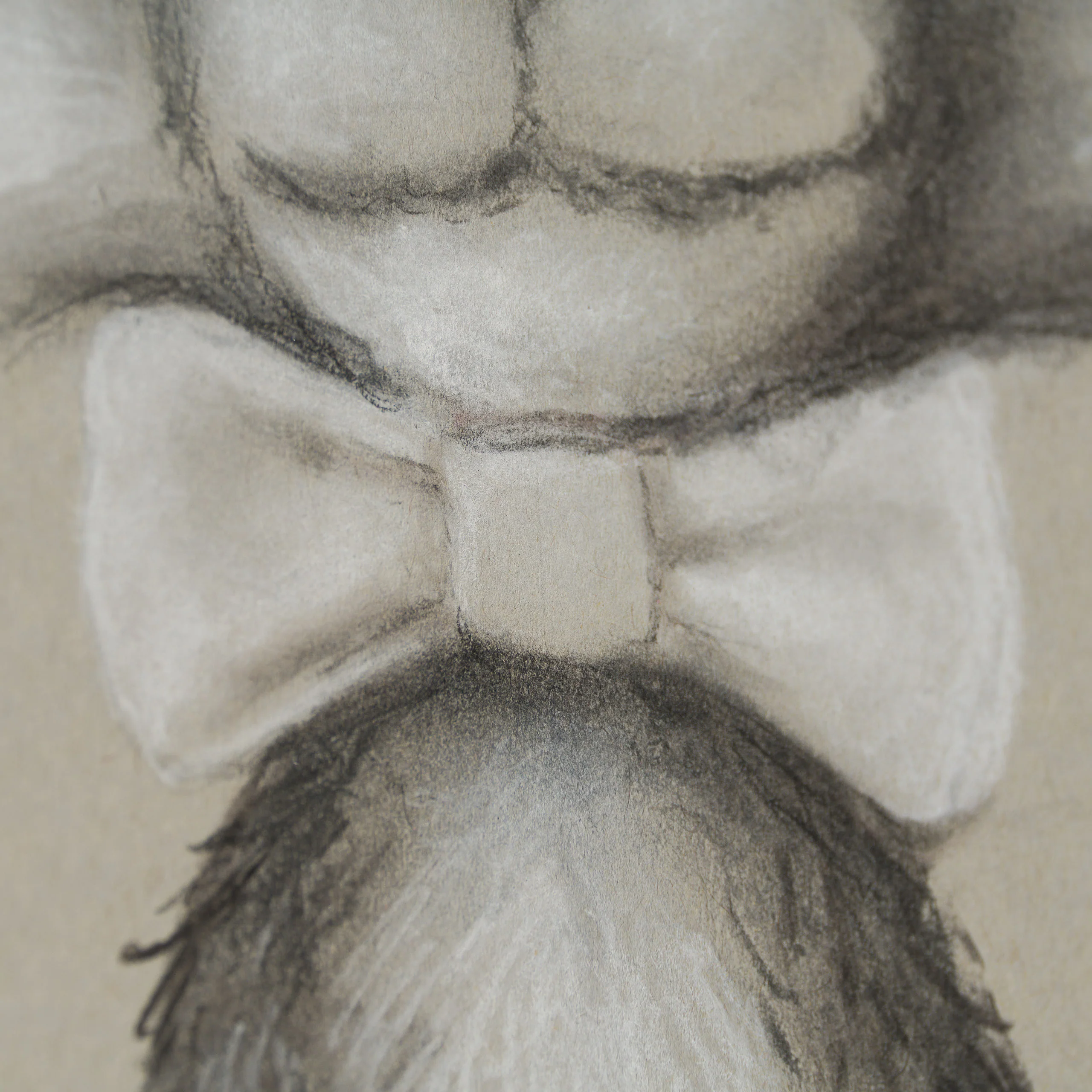 Majestic Mr Fox - Image 6