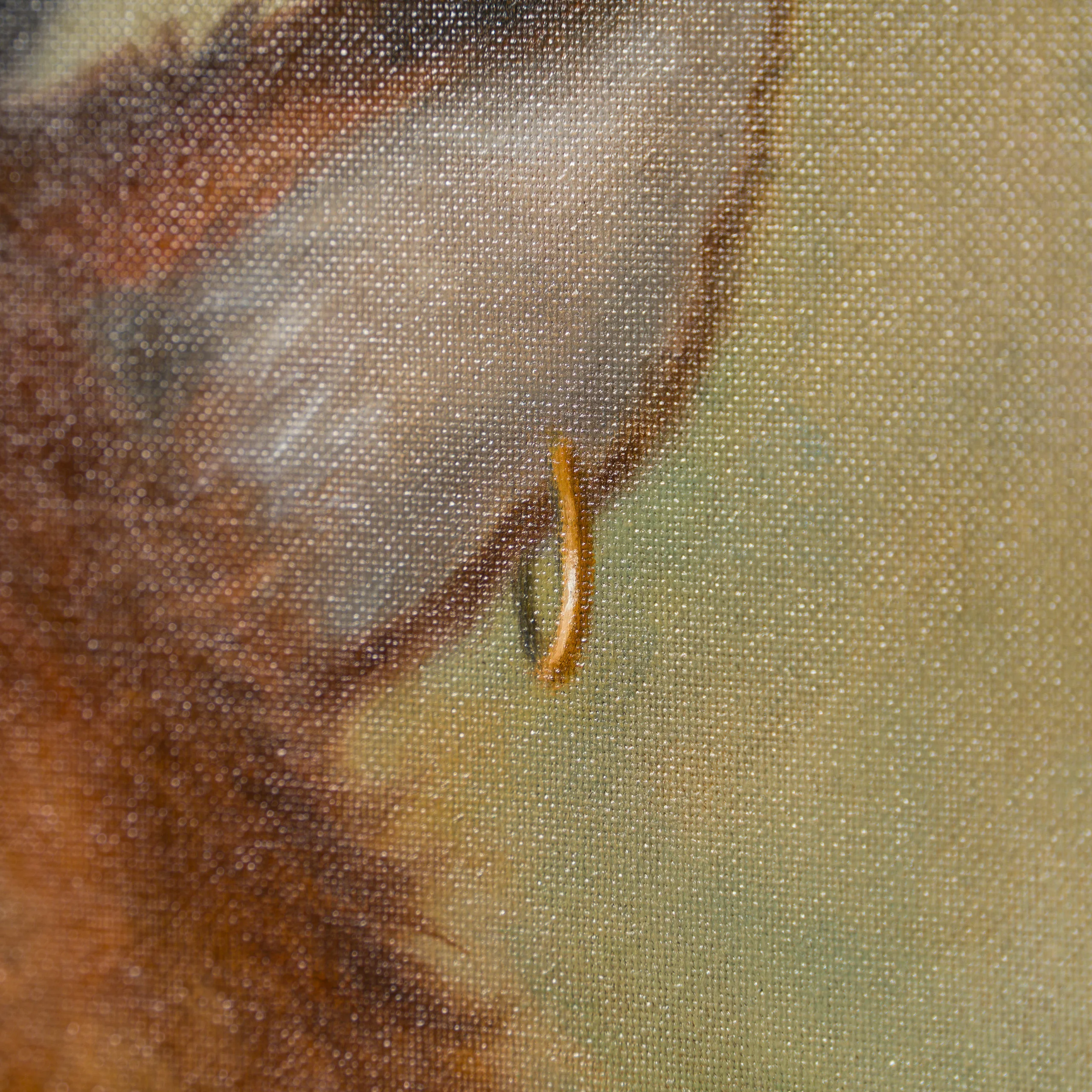 Majestic Mr Fox - Image 4