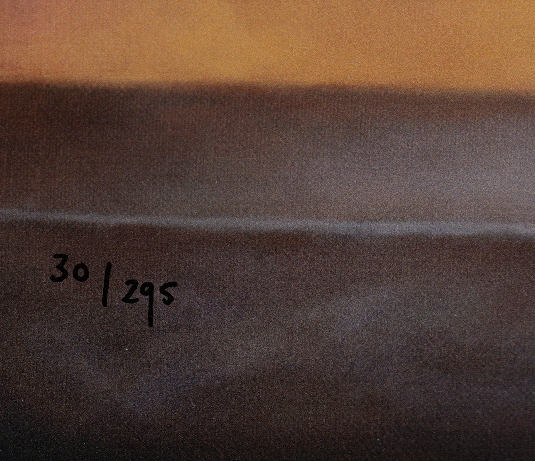 Ozzy - Image 5