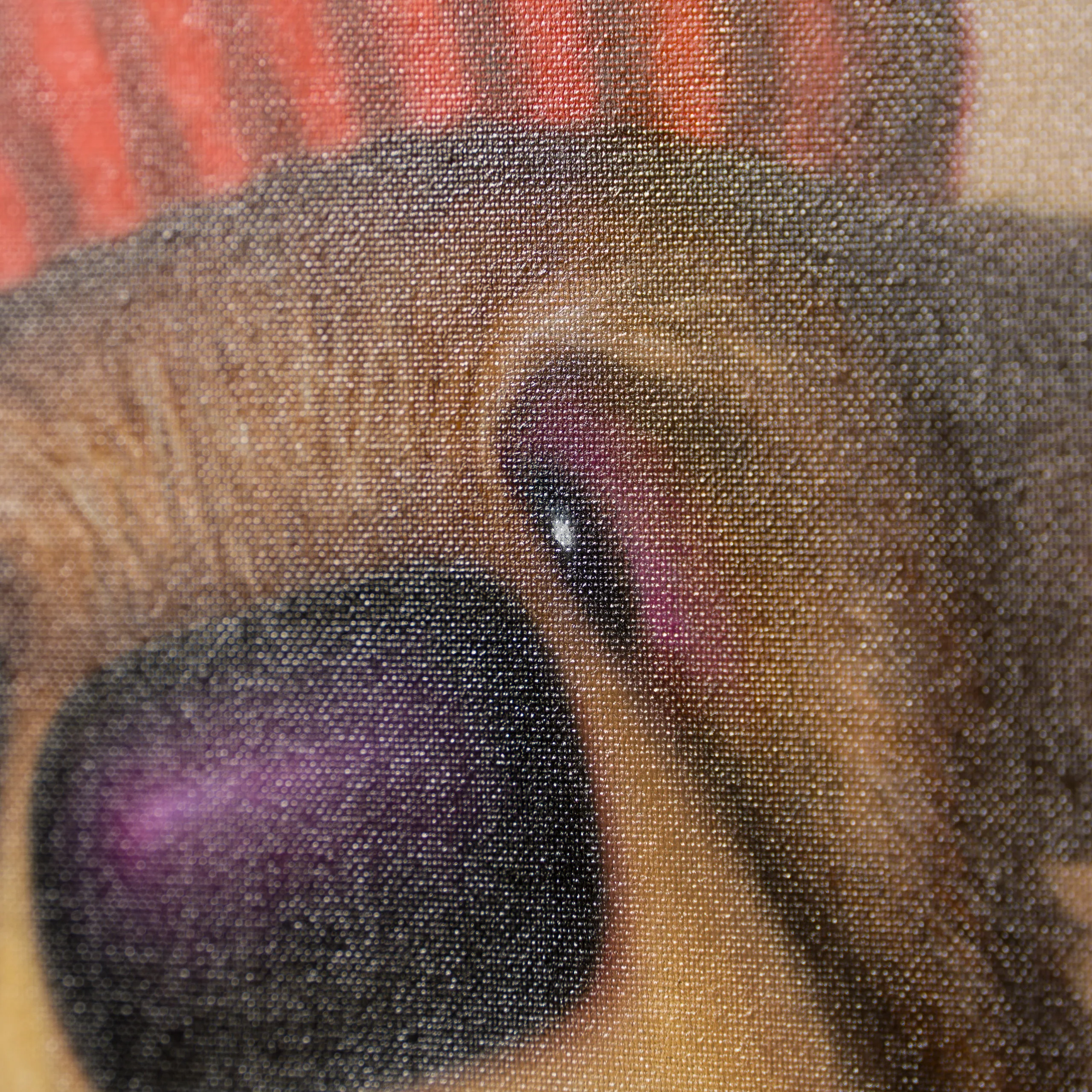 Rasta - Image 5