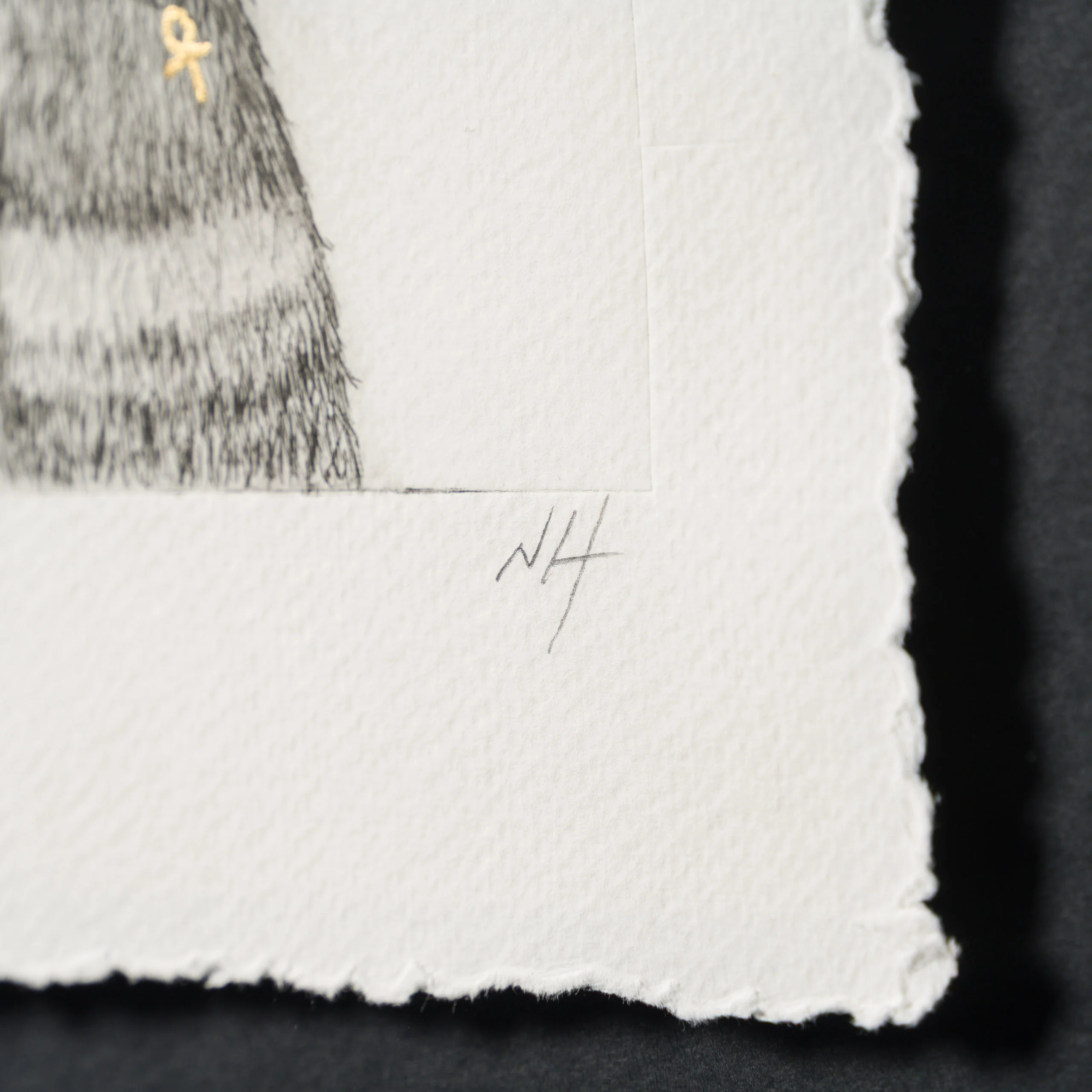 Rasta Bear IX - Image 3