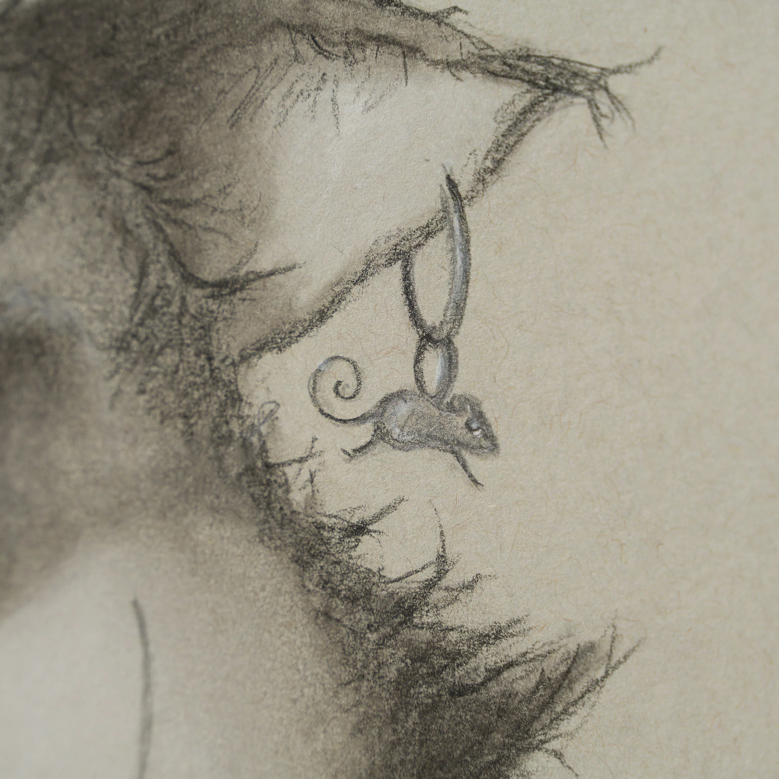 The Cheshire Cat (Drawing) - Image 6