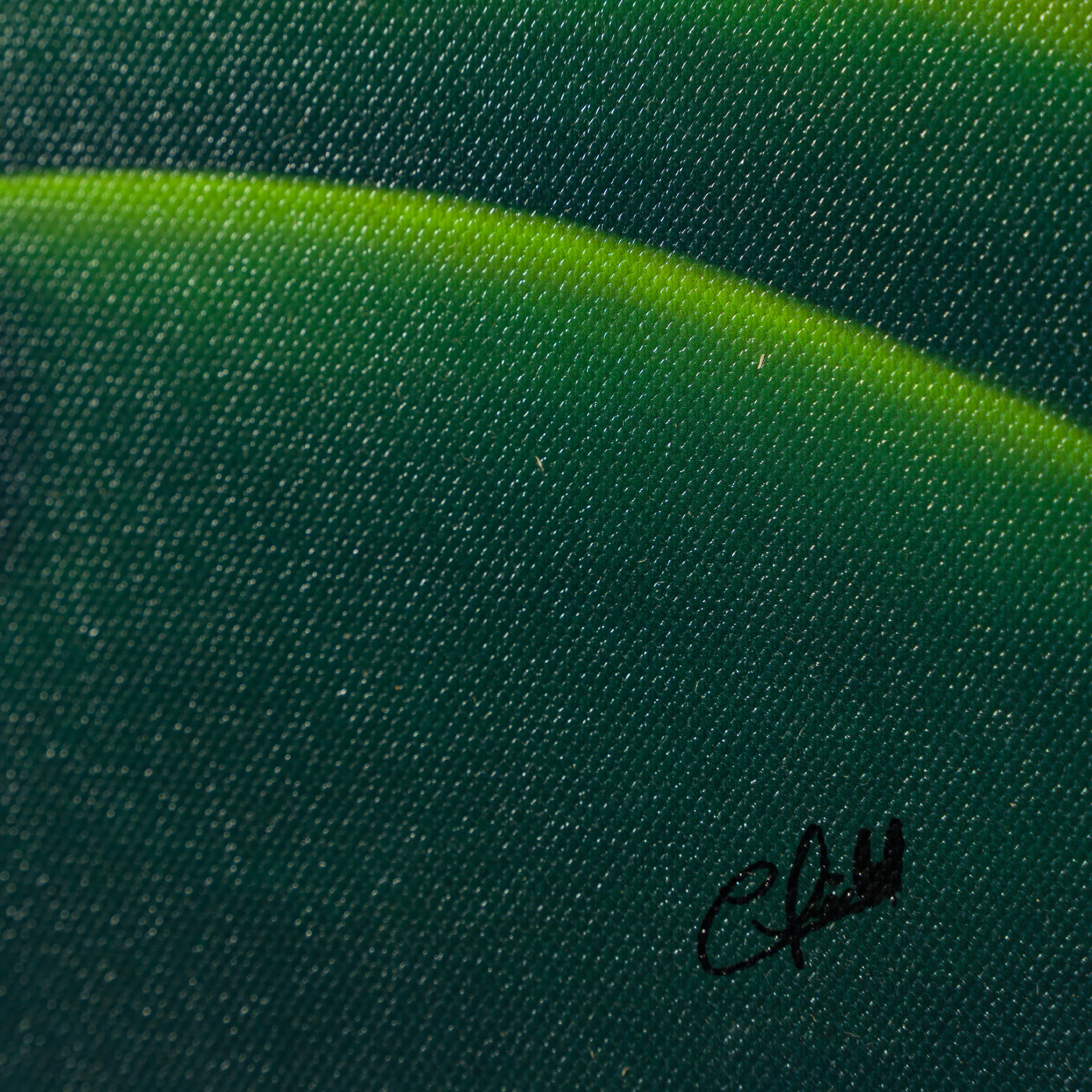 Evening Glow - Image 3