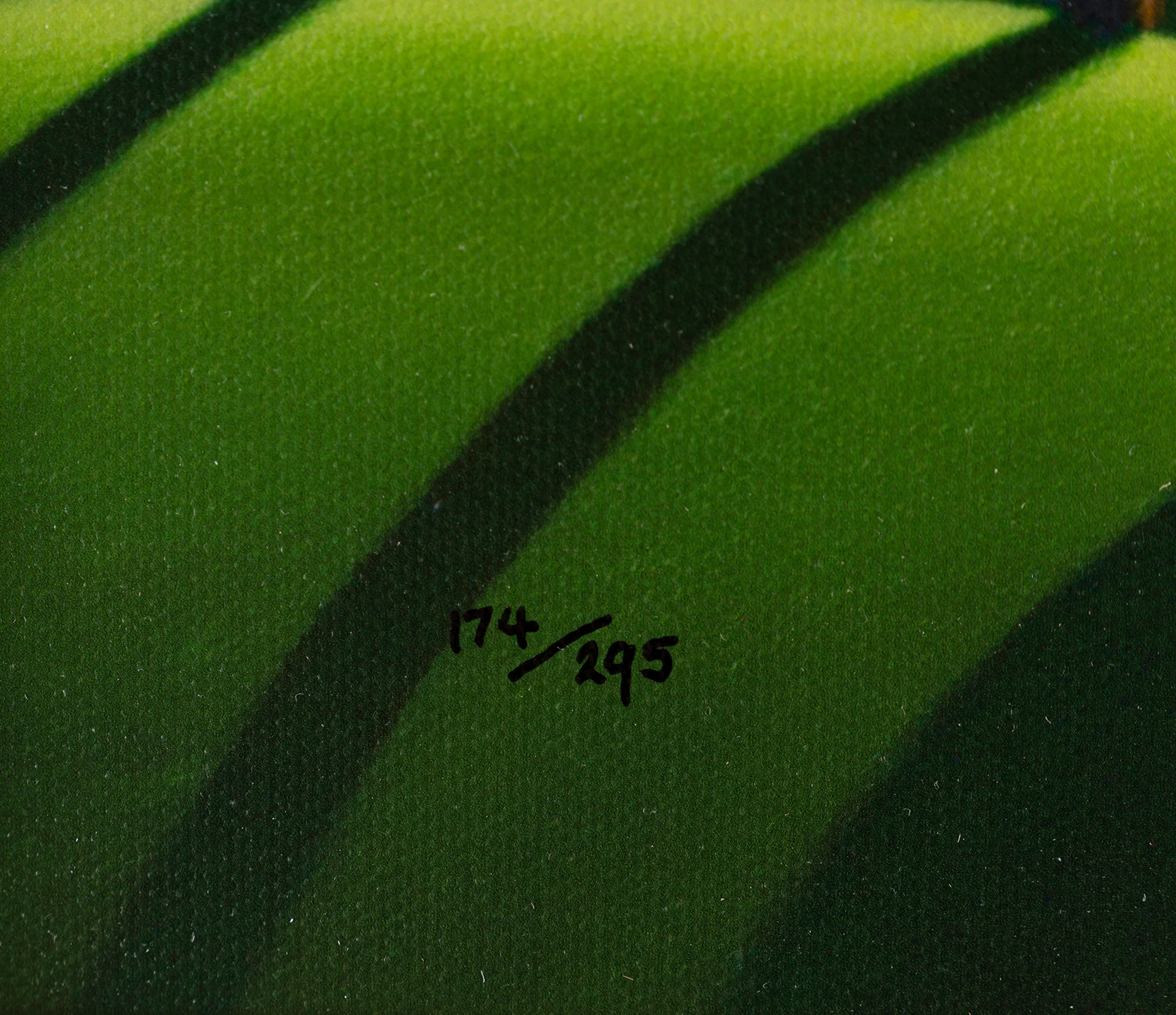 Morning Blues - Image 5