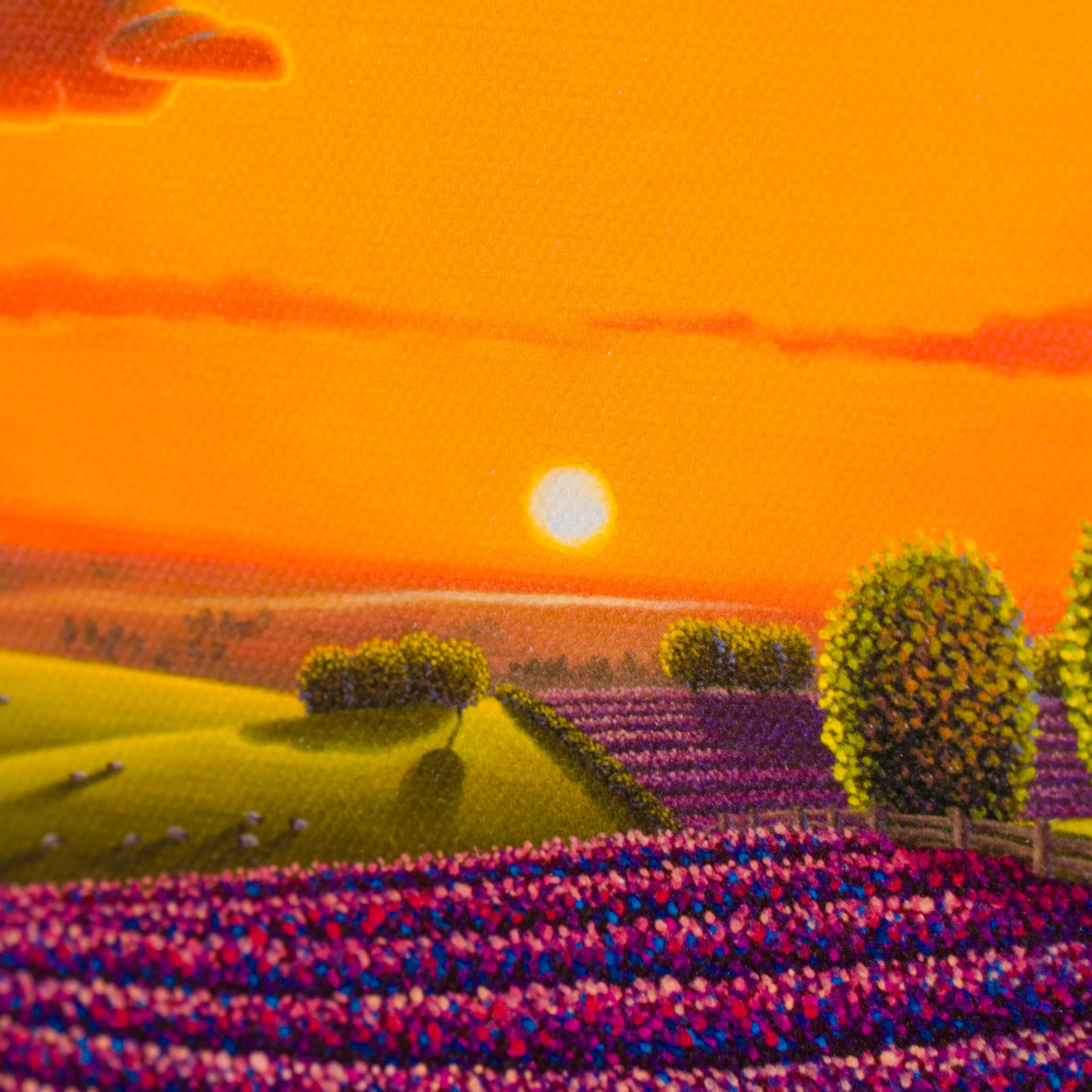 Sunset's Embrace - Image 3