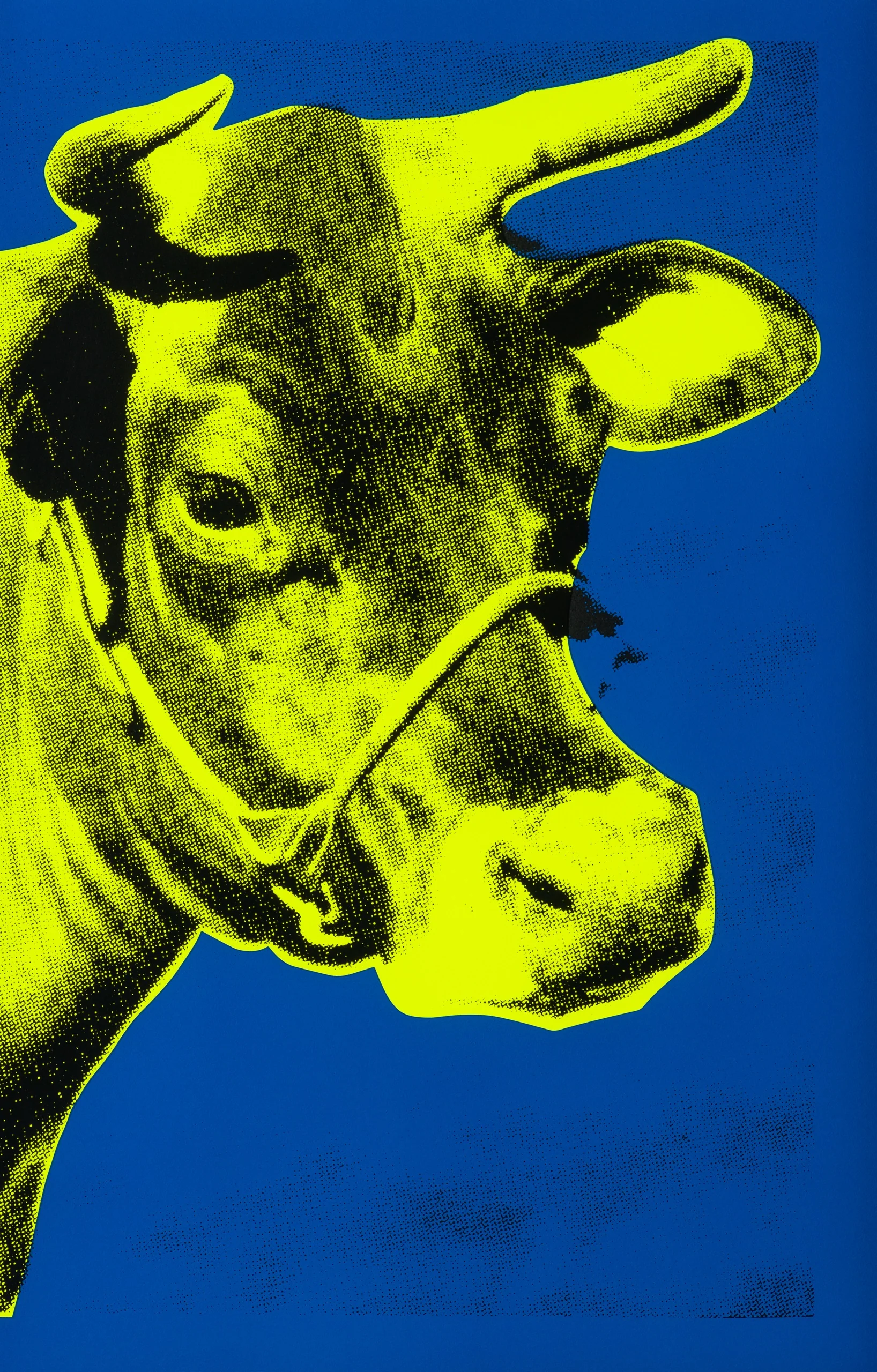 Cow I- Yellow On Blue - Image 5