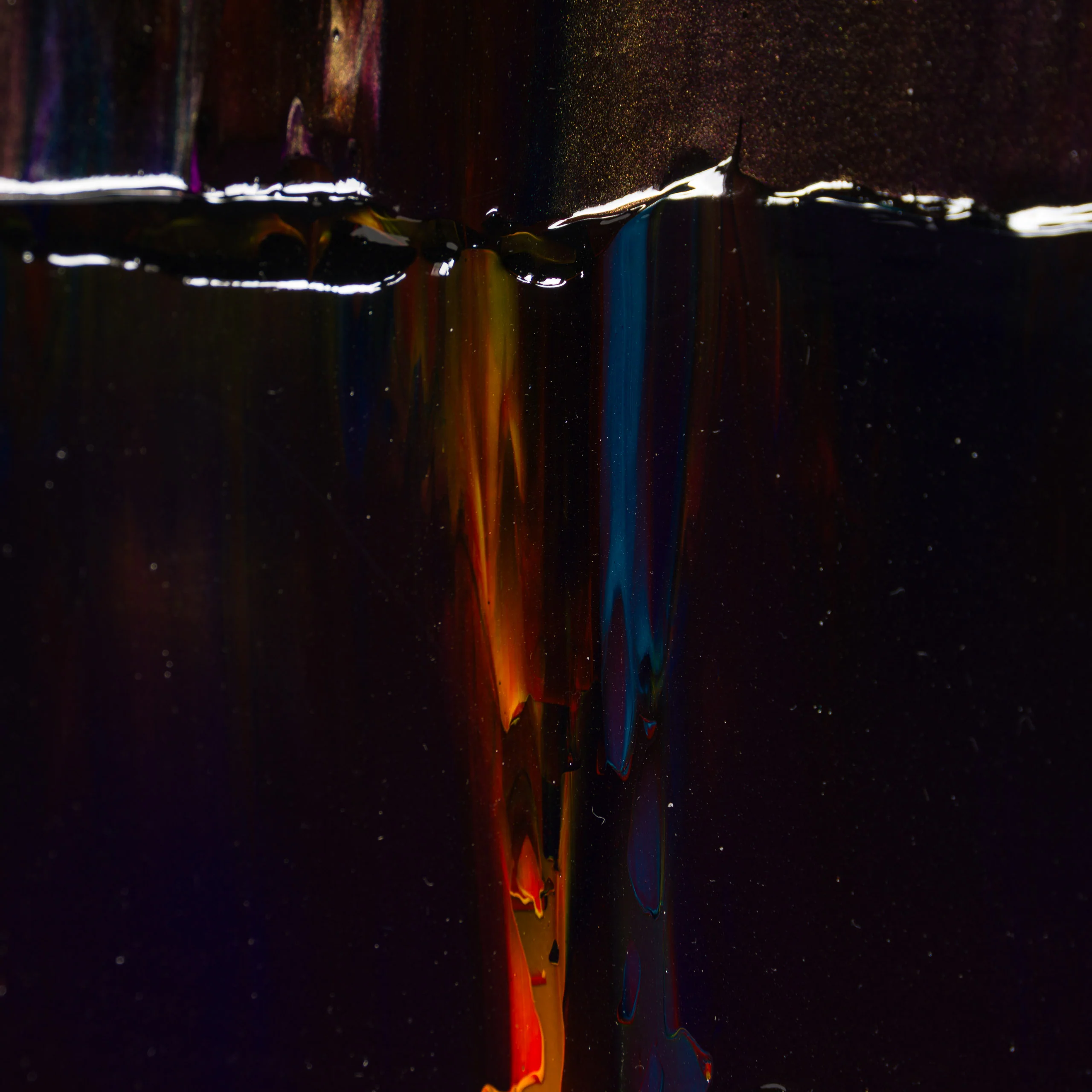 Purple - Porffor - 2026 - Image 4