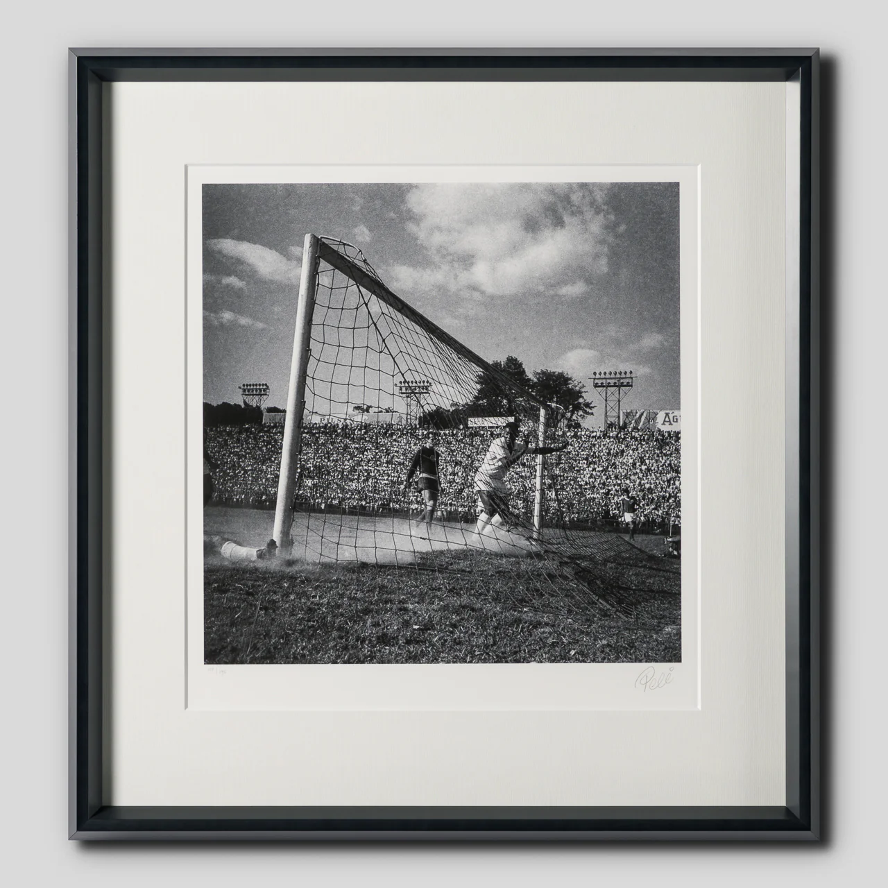 Back Of The Net