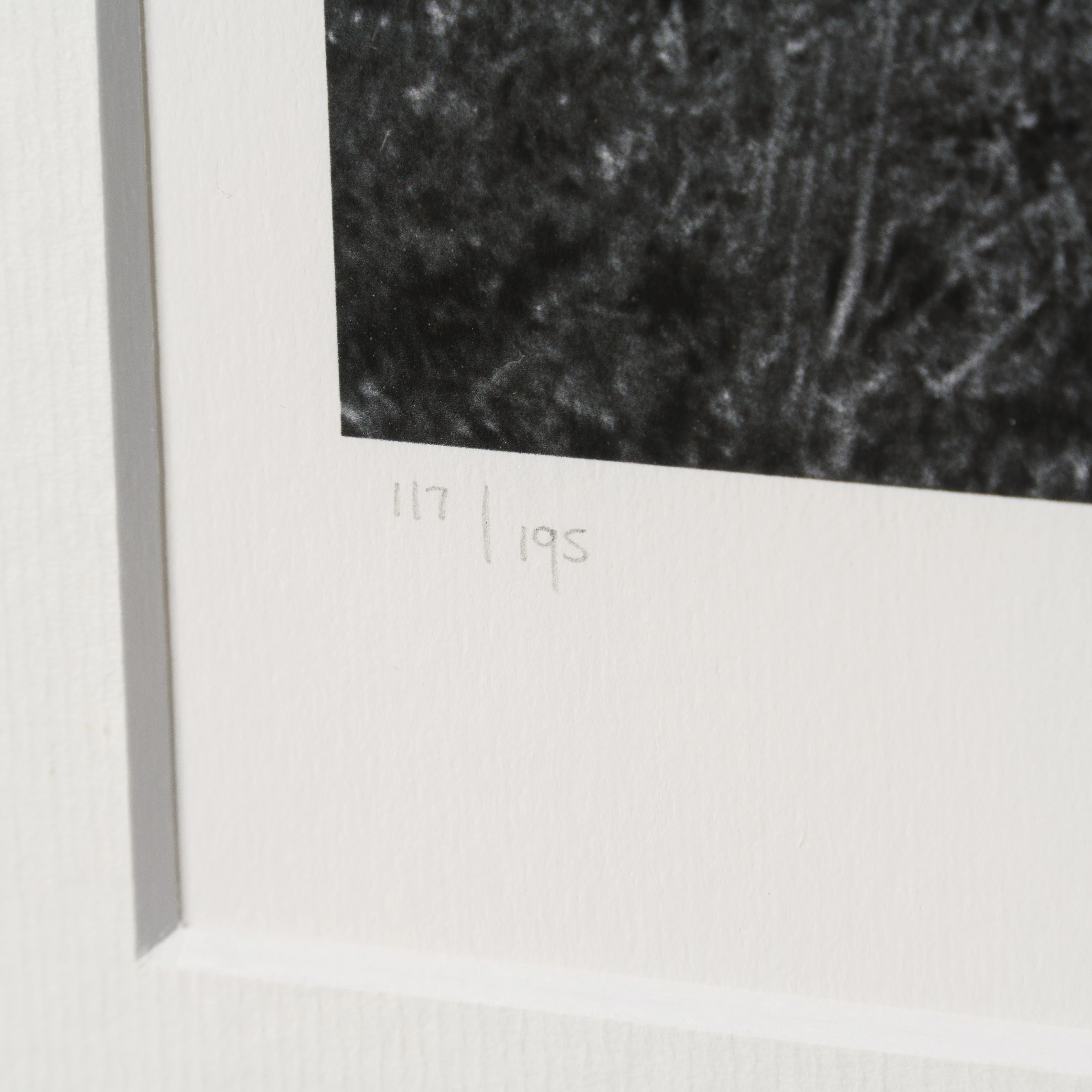 Back Of The Net - Image 6