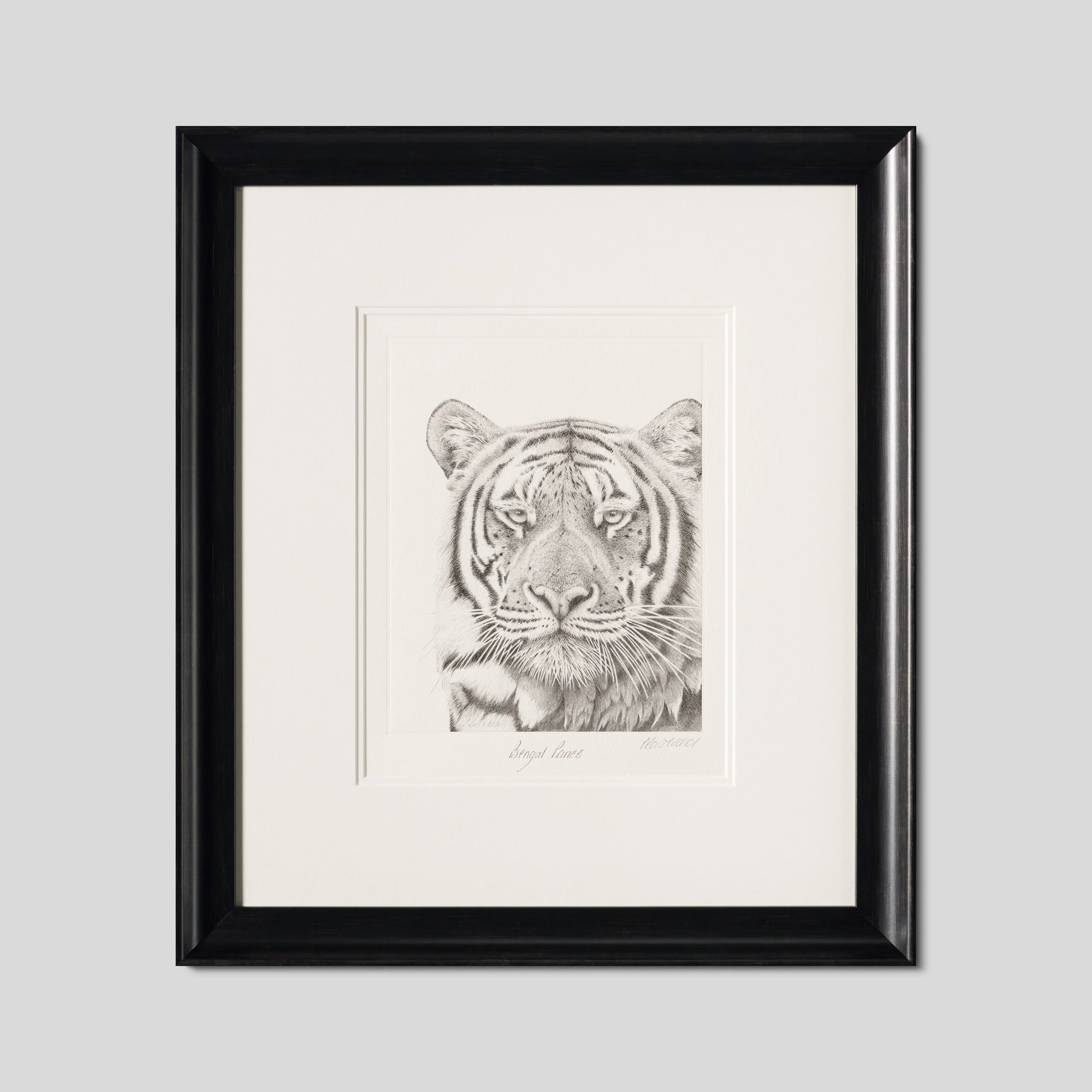 Bengal Prince