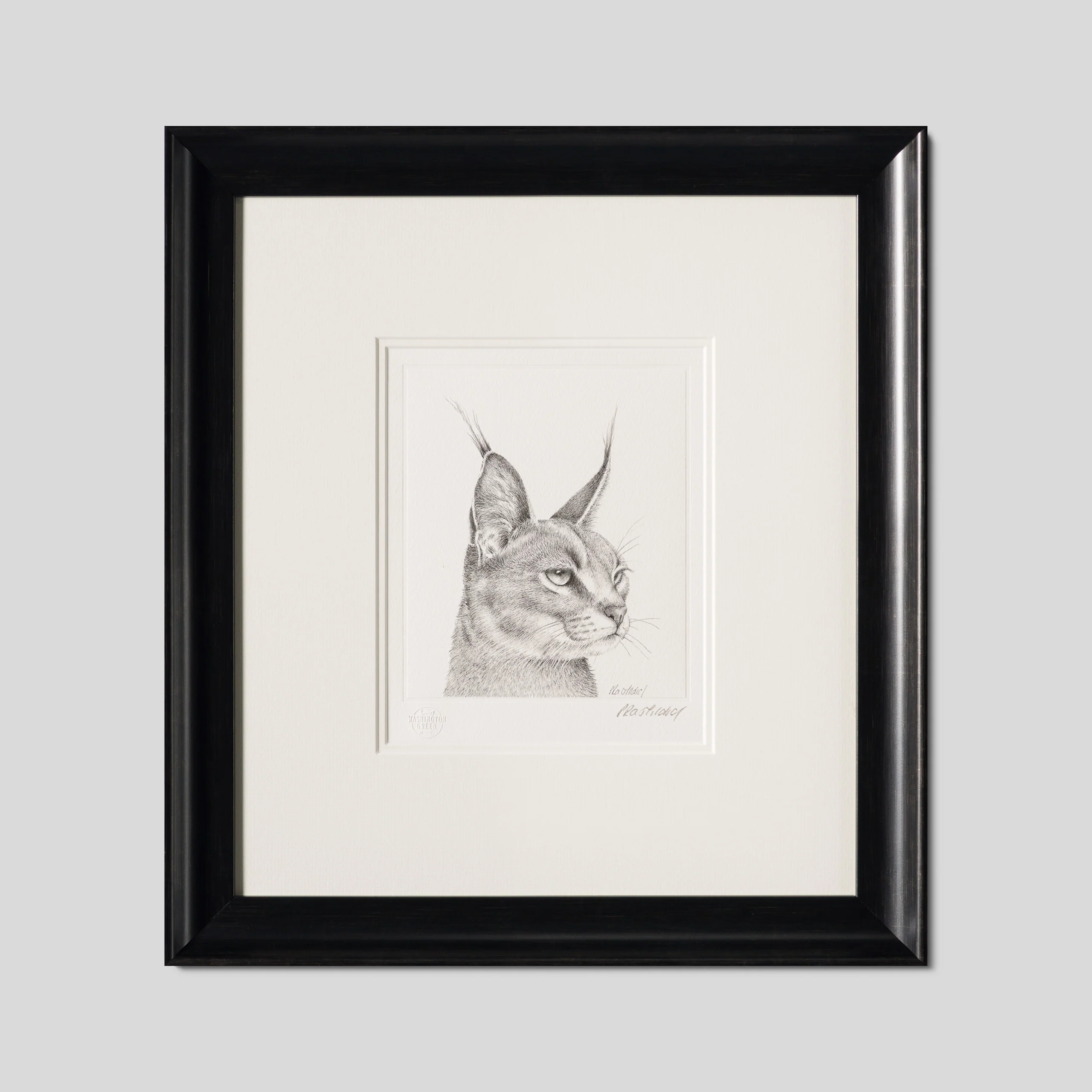 Caracal