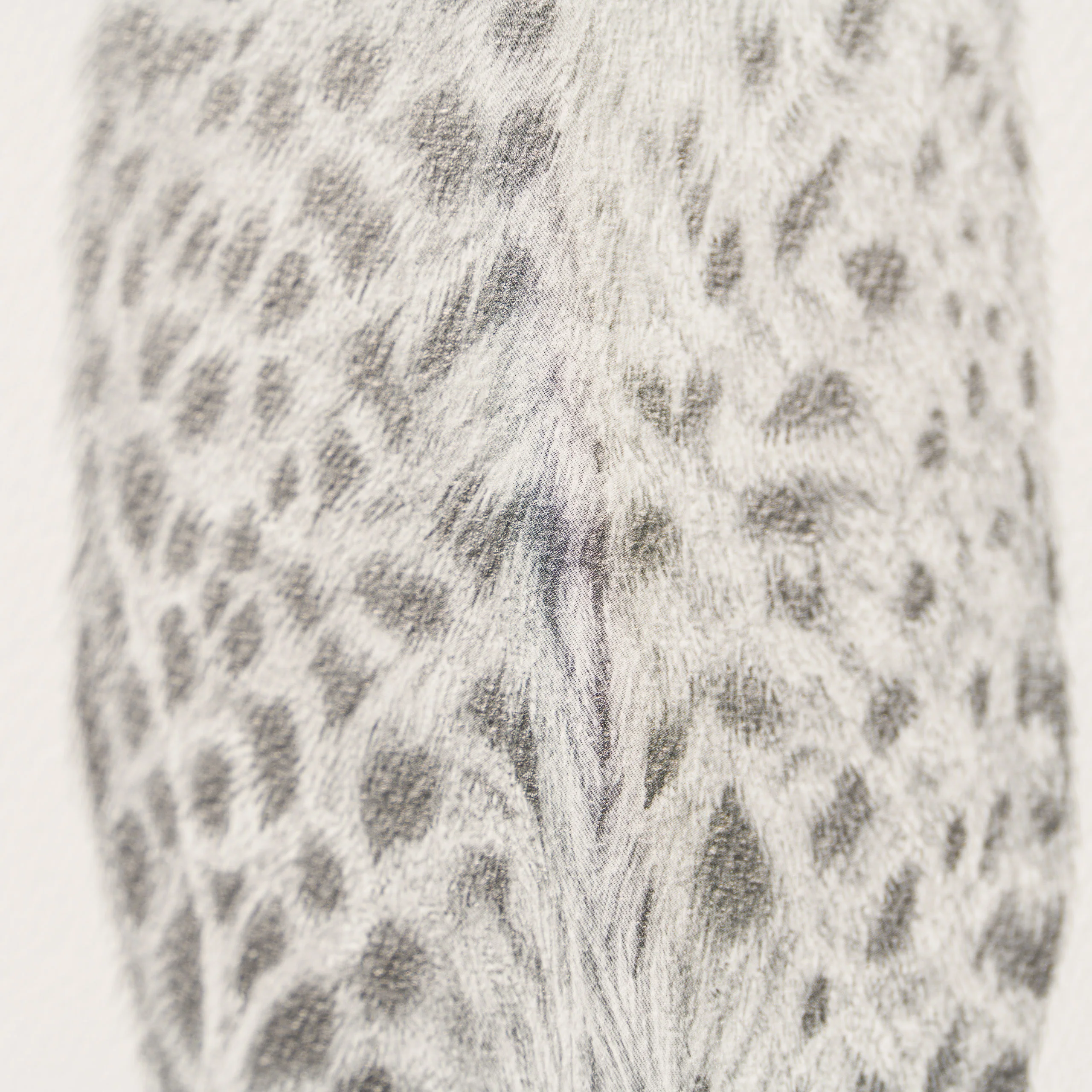 Cita - Image 3