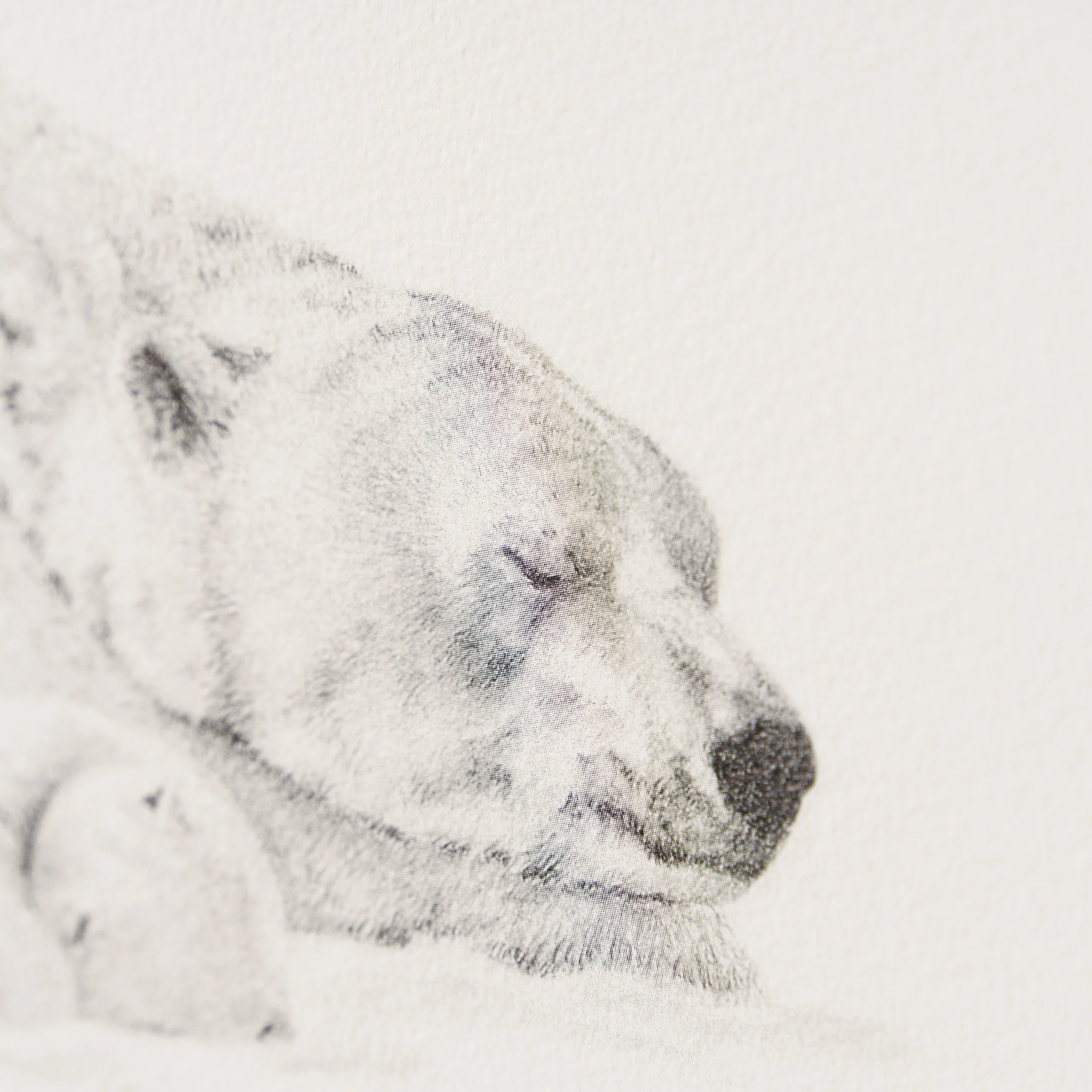 Forty Winks - Image 2