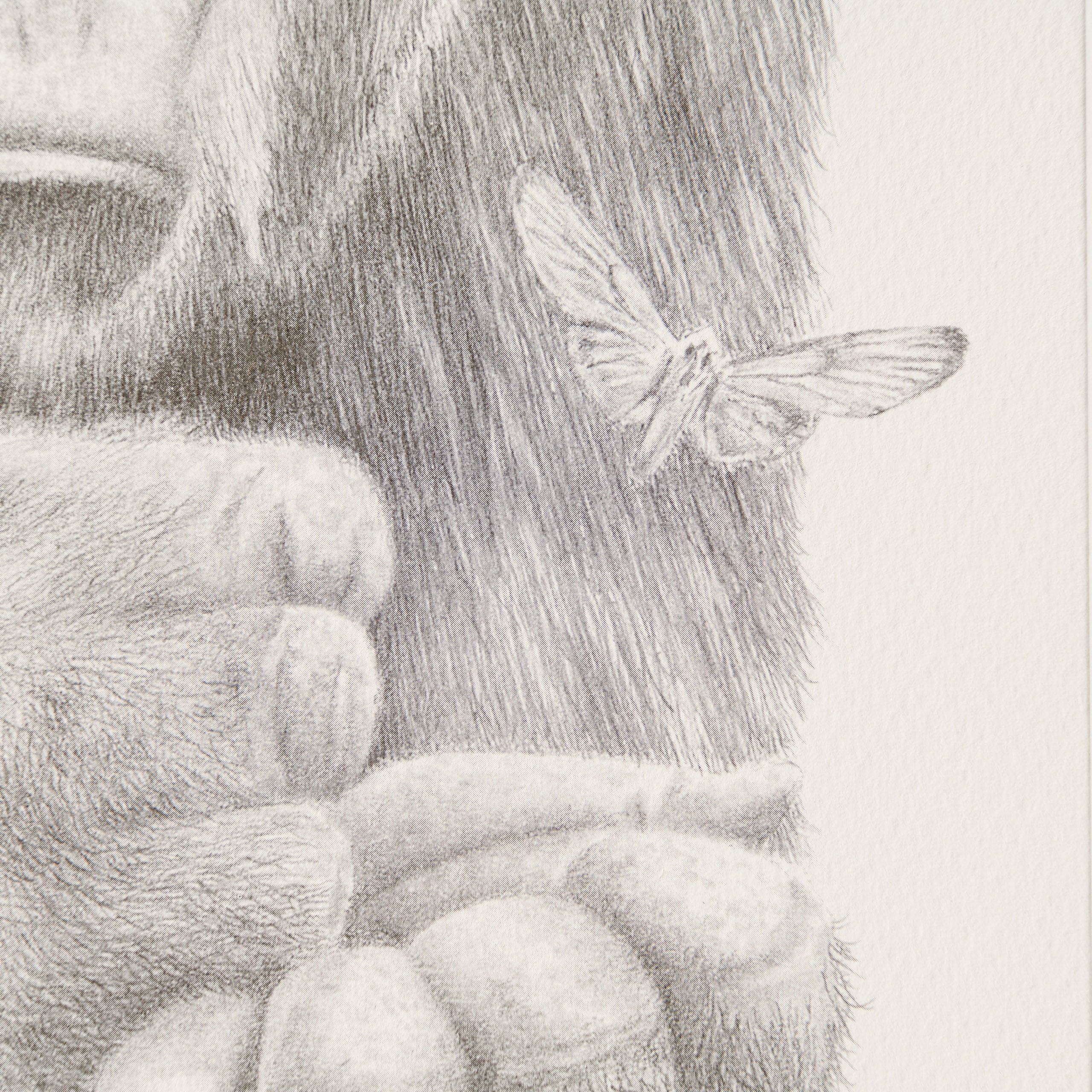In Safe Hands - Image 4