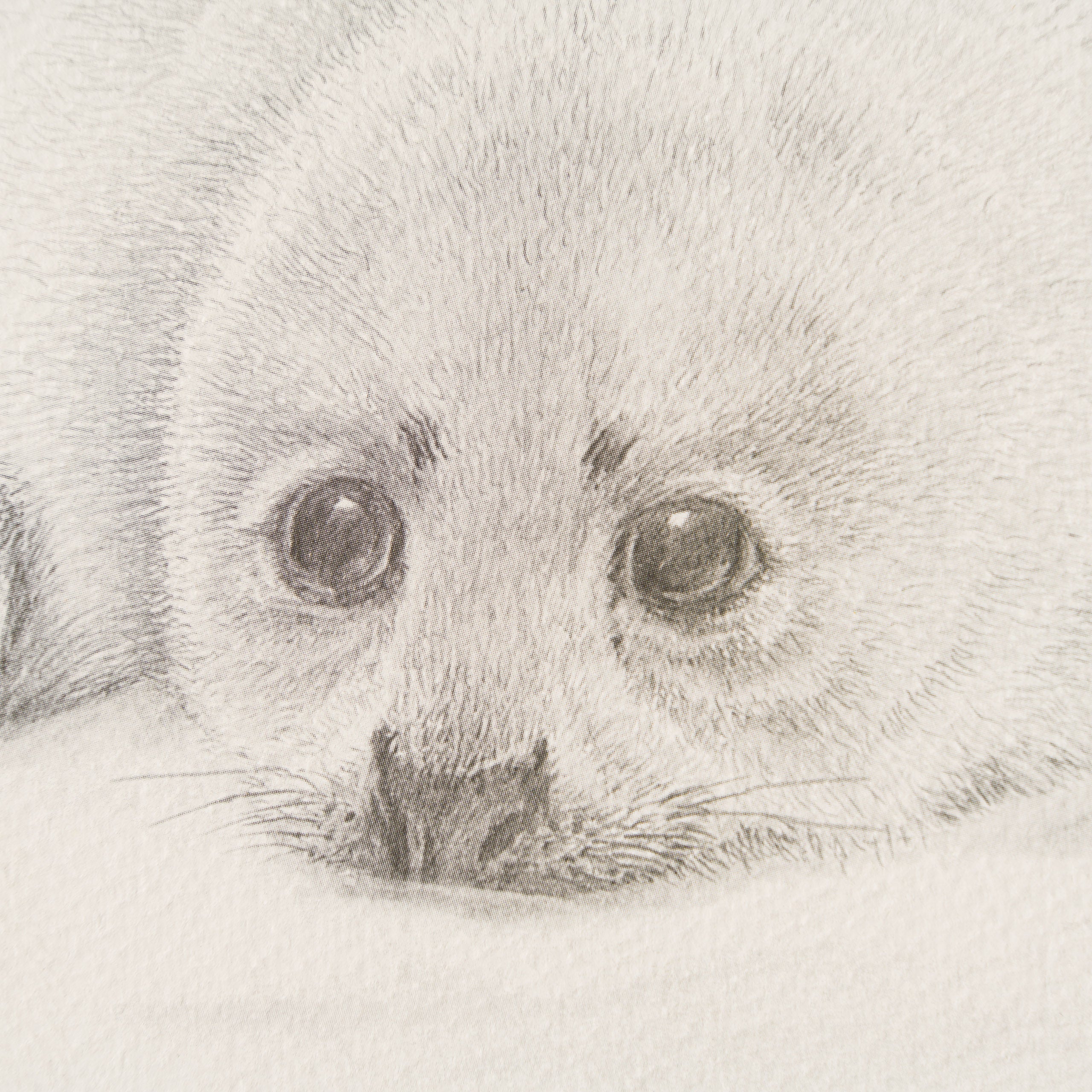 Innocence - Image 2