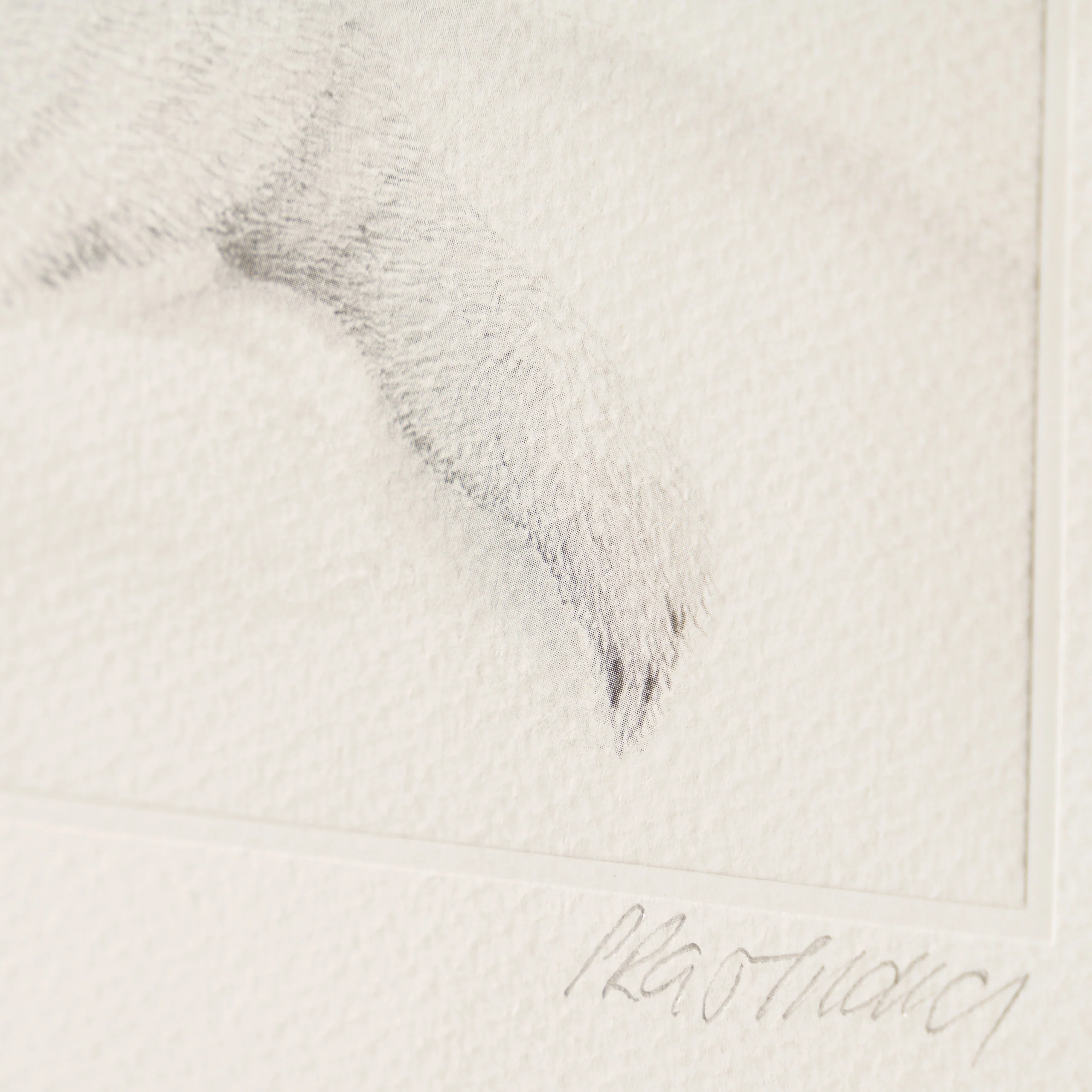 Innocence - Image 3