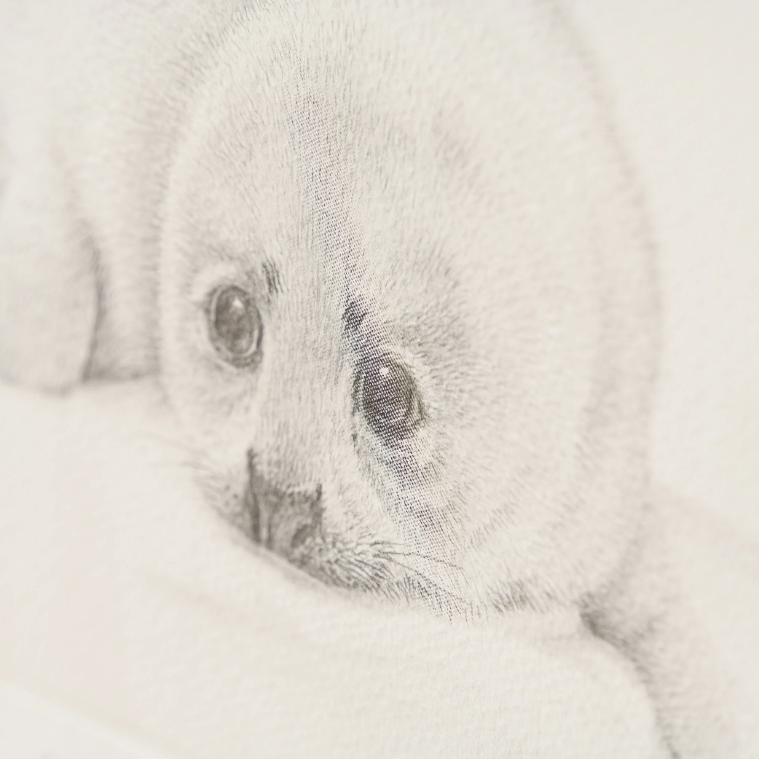 Innocence - Image 4