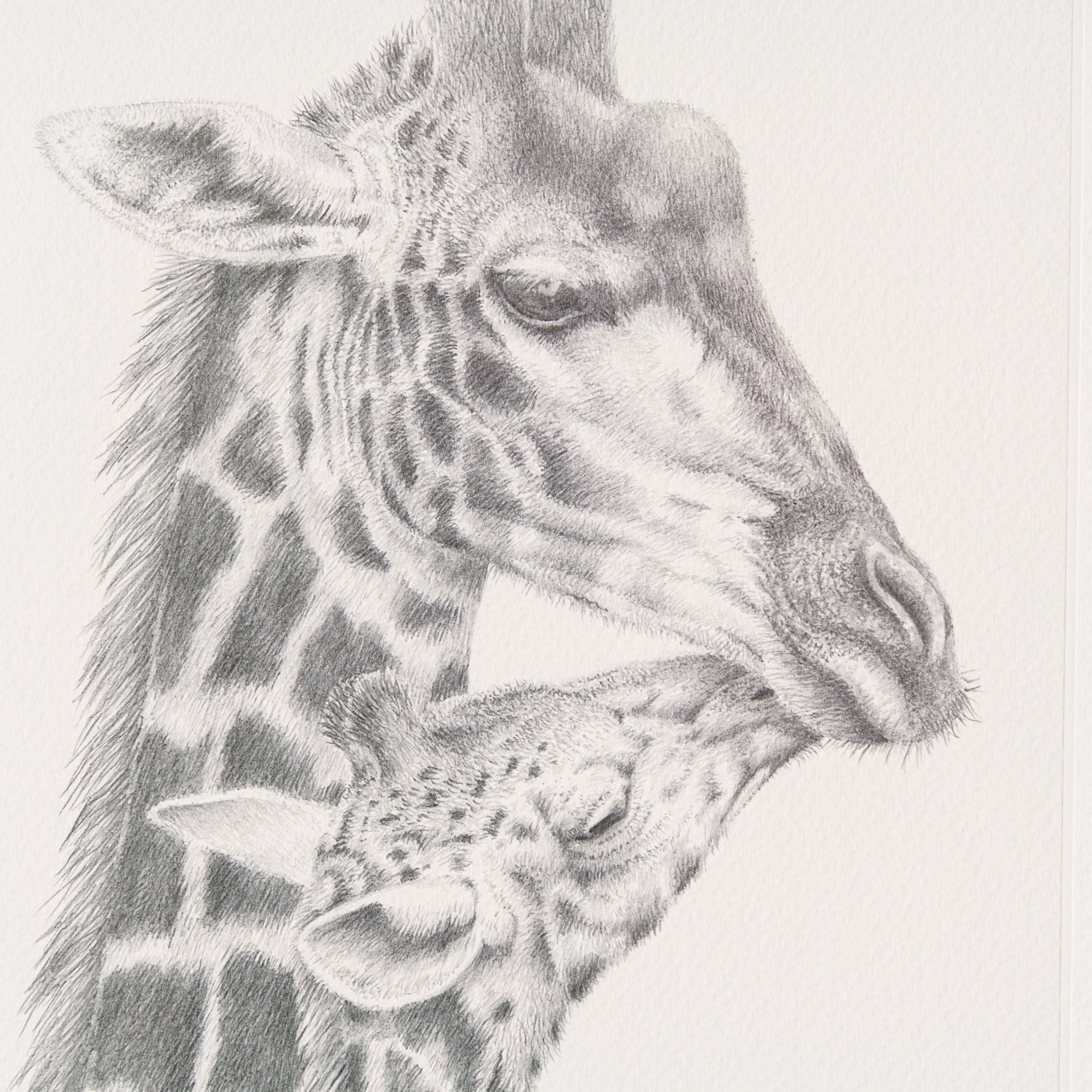 Inseparable - Image 4