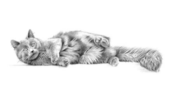 Lazy Days
