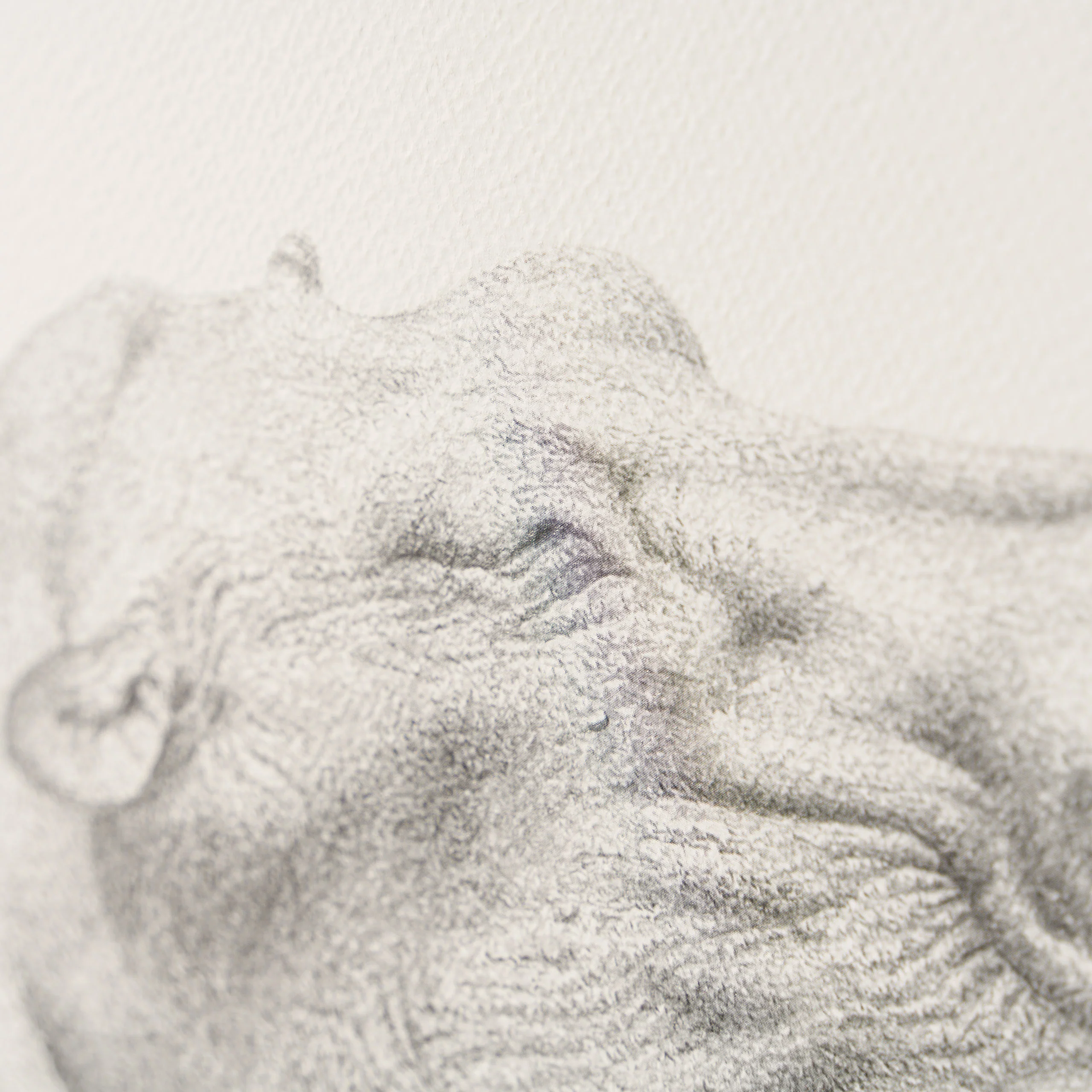 Sleeping It Off - Image 2