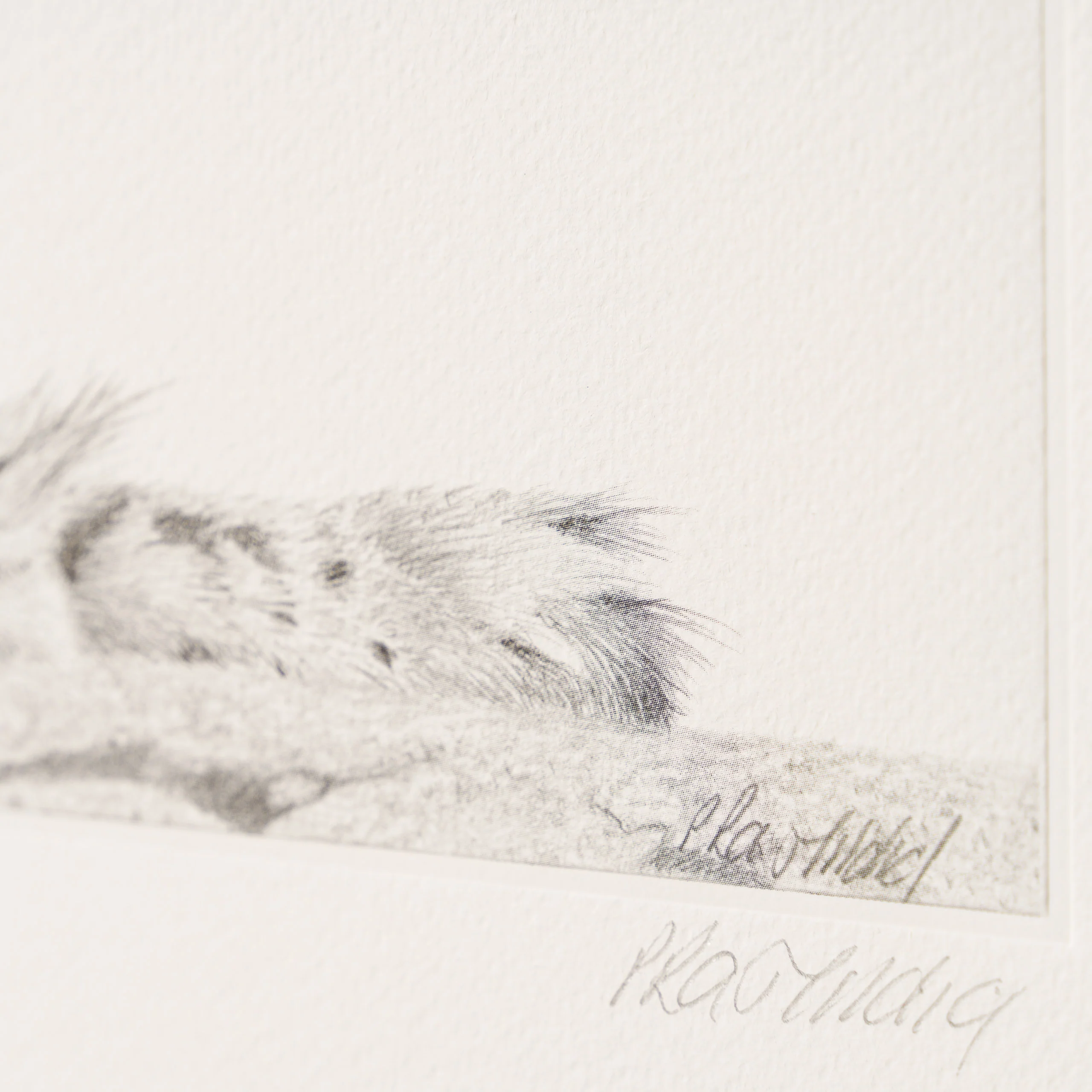 Take Five - Image 3