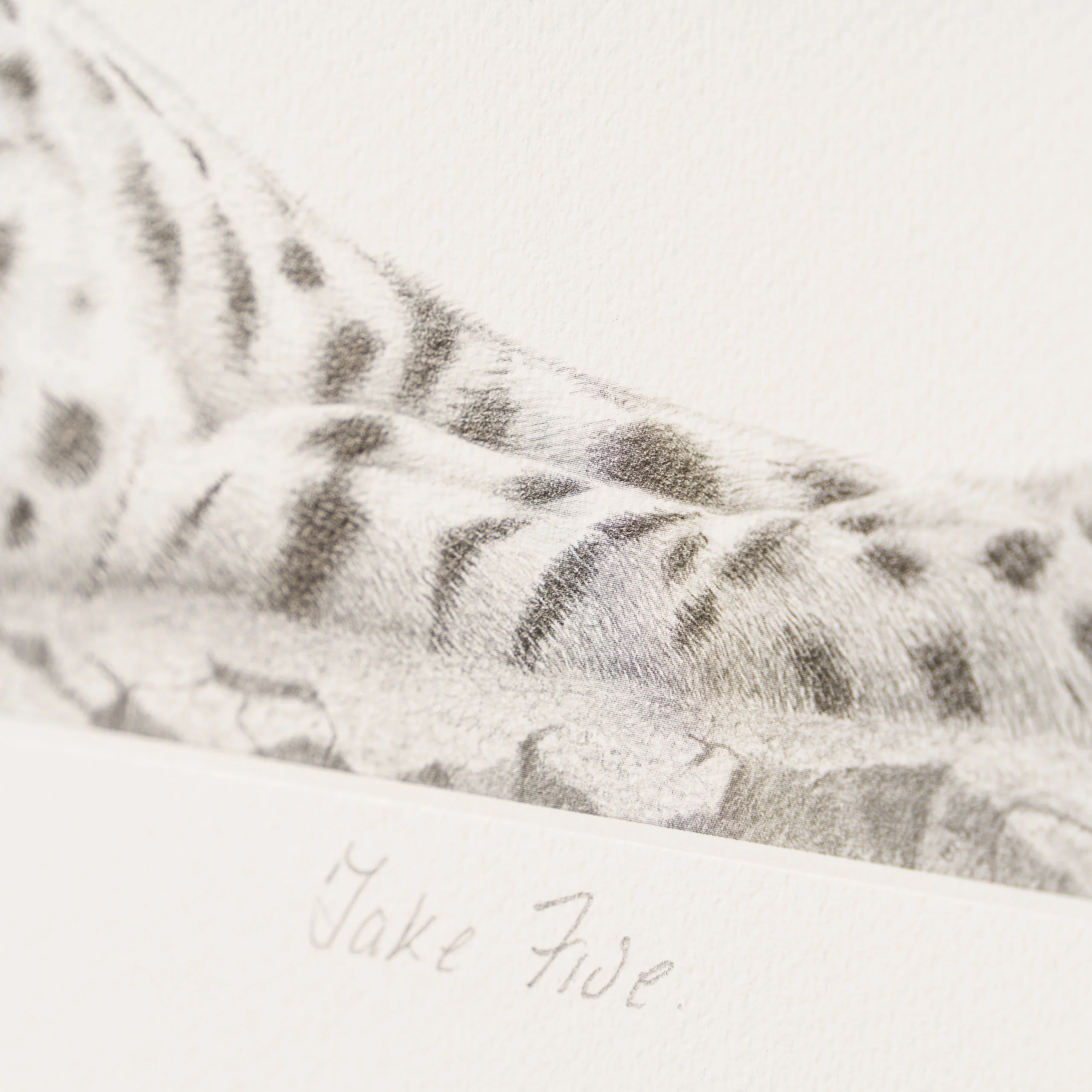 Take Five - Image 4