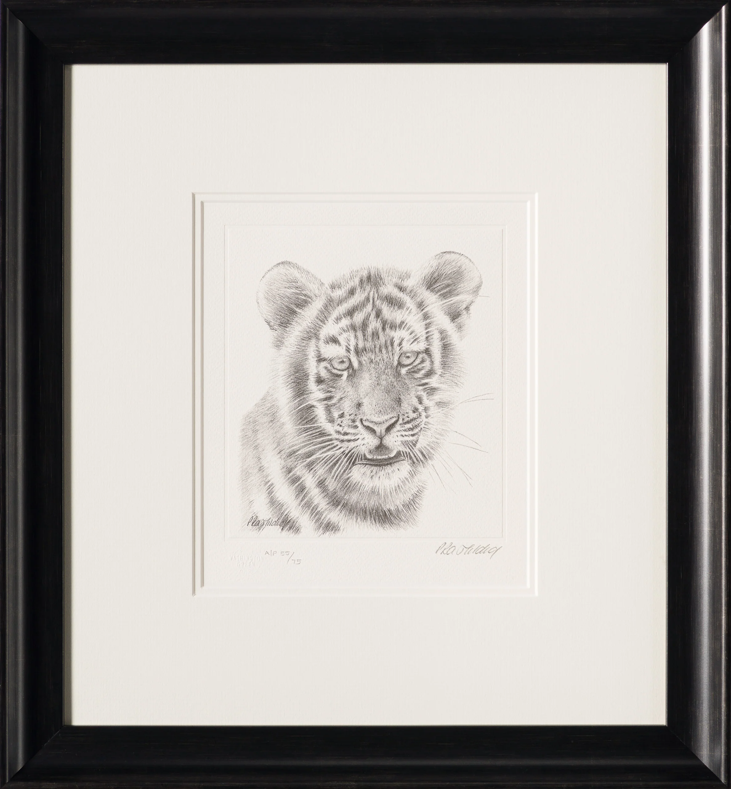 Tiger Study - Image 4
