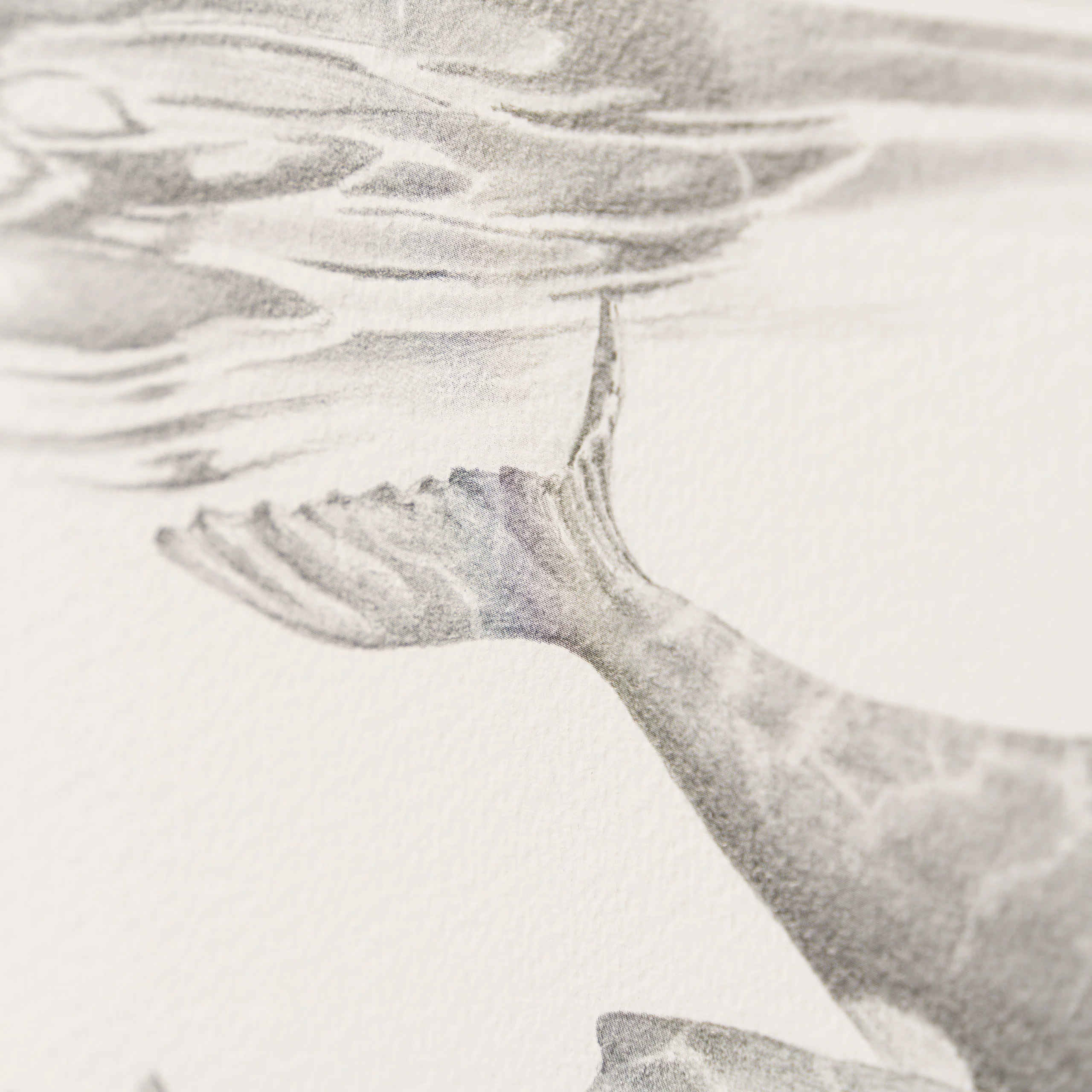 Tranquility - Image 3