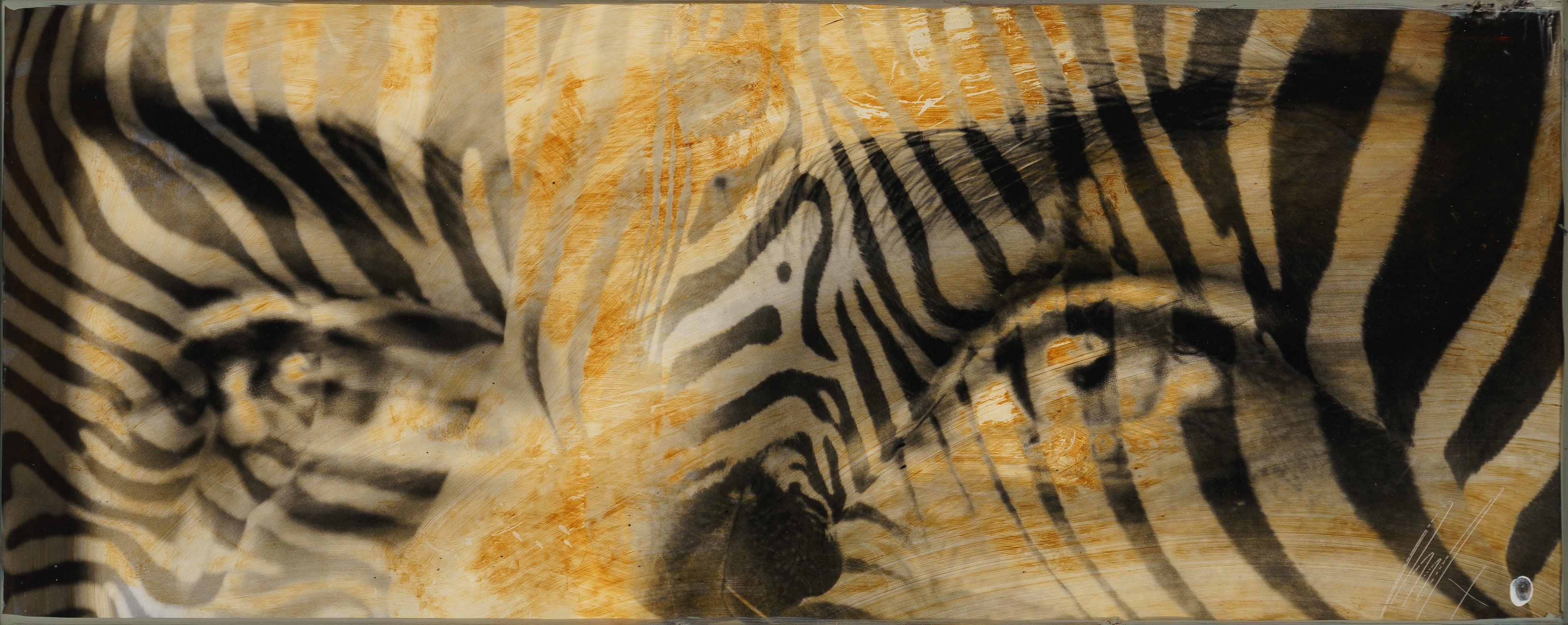 Amani - Image 7