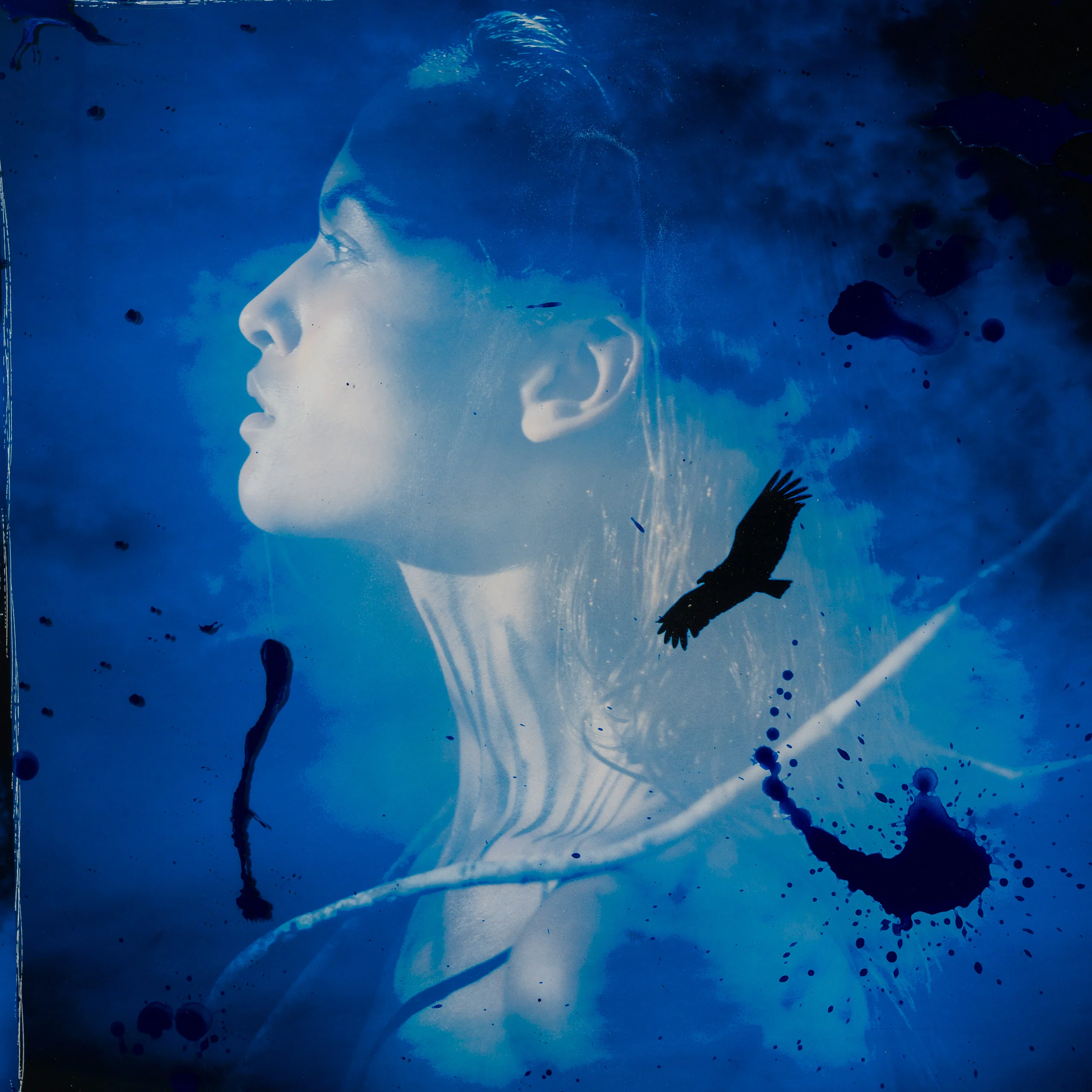 Amazon III - Image 3
