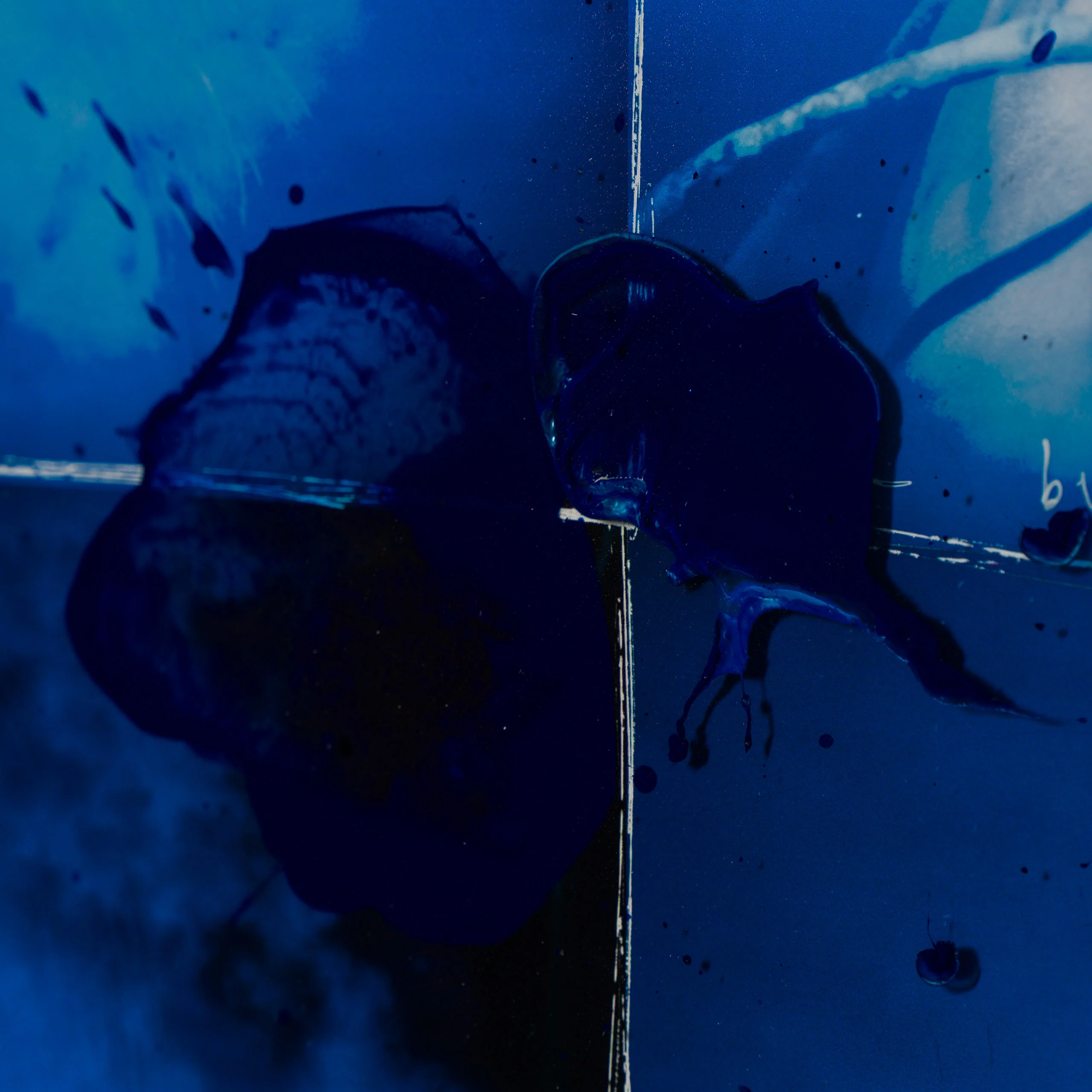 Amazon III - Image 4
