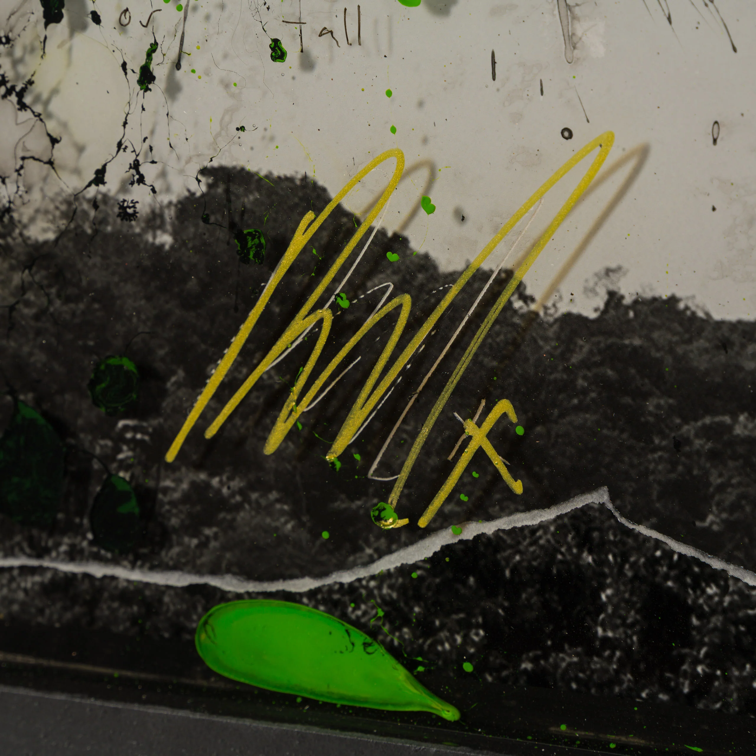 Caelith - Image 3