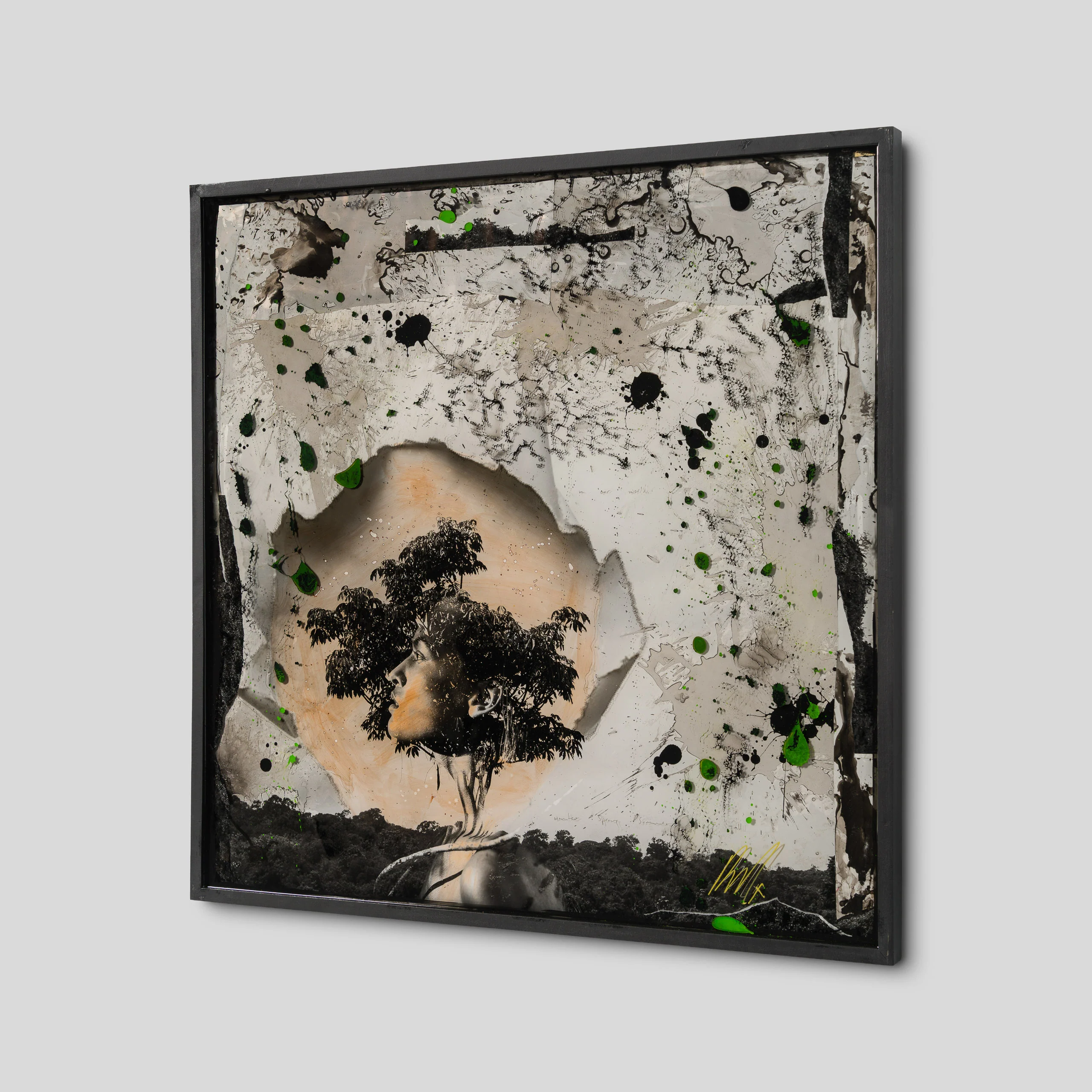 Caelith - Image 5