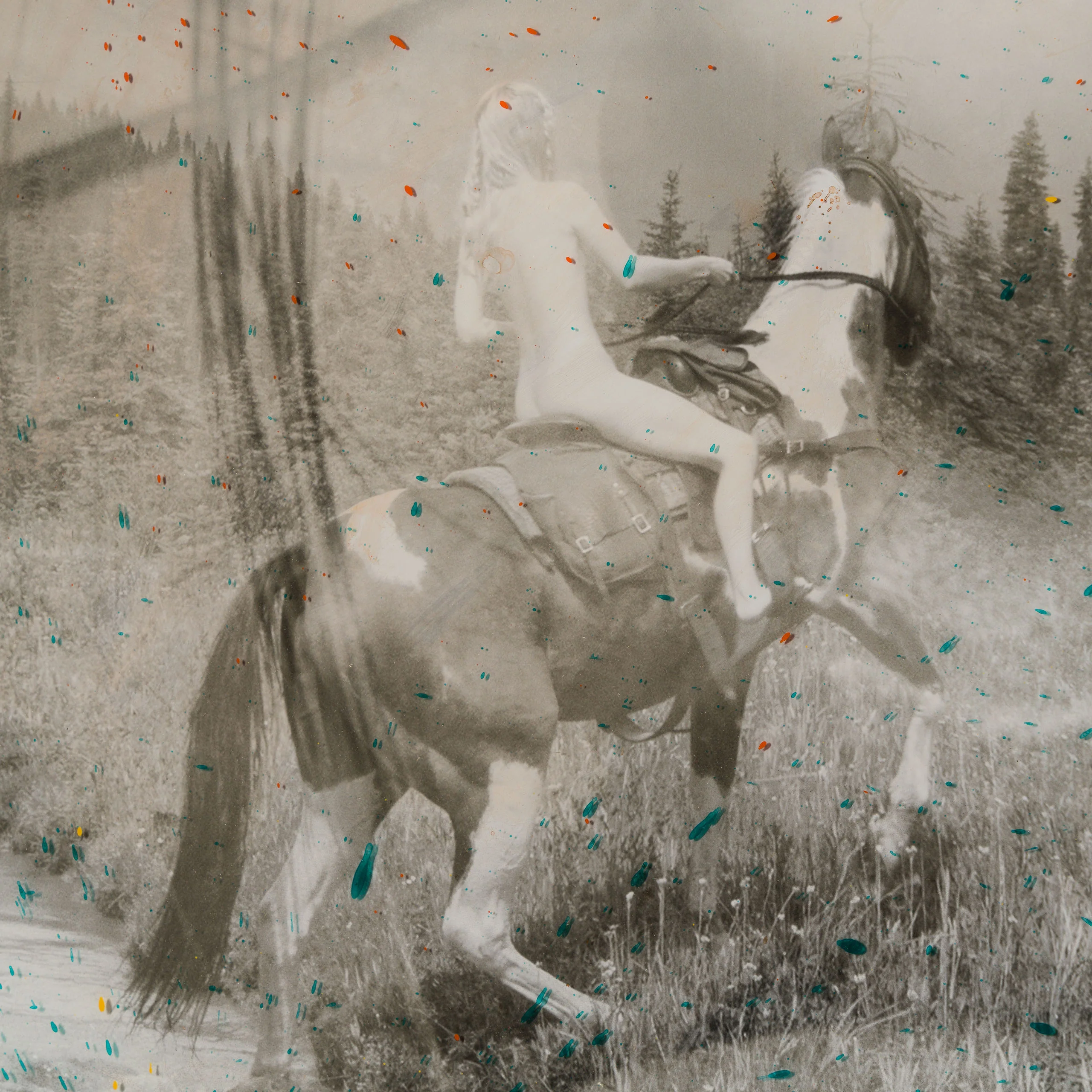 Cowgirl Up - Image 5