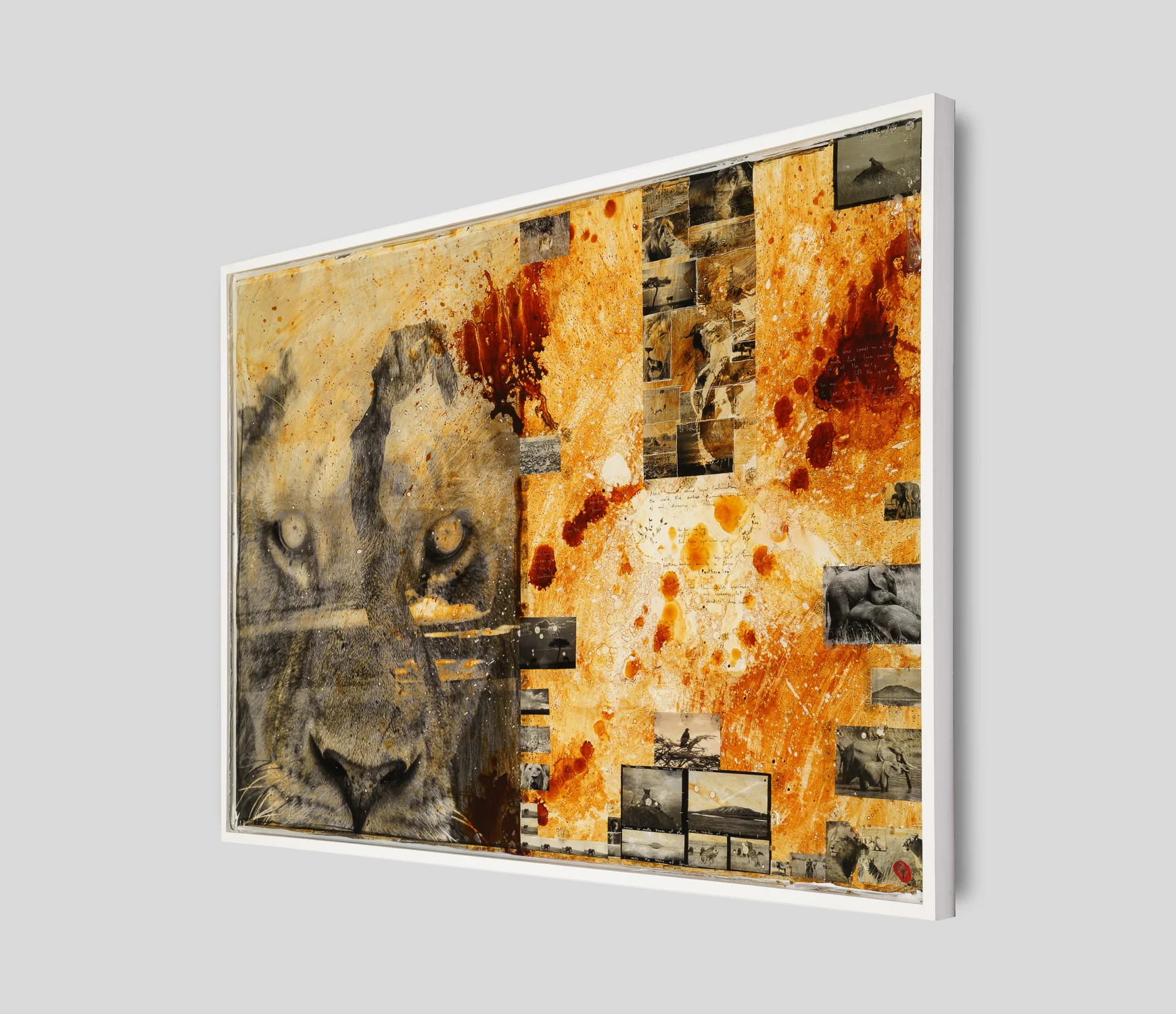 Free Spirit - Image 2
