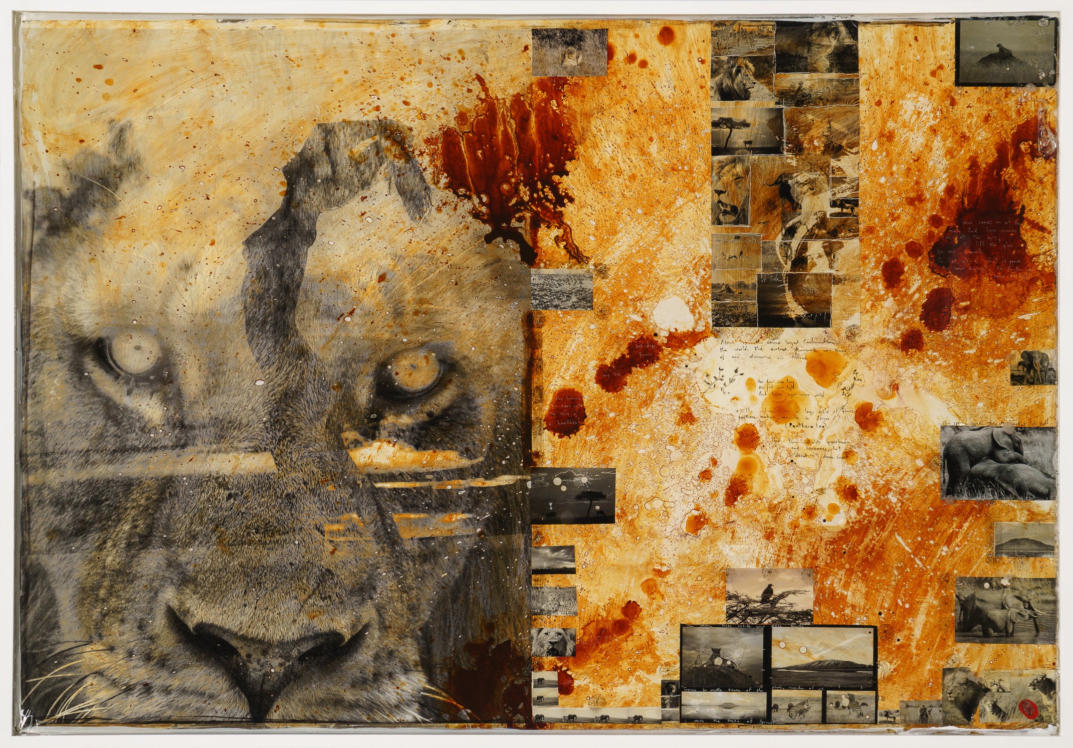 Free Spirit - Image 4