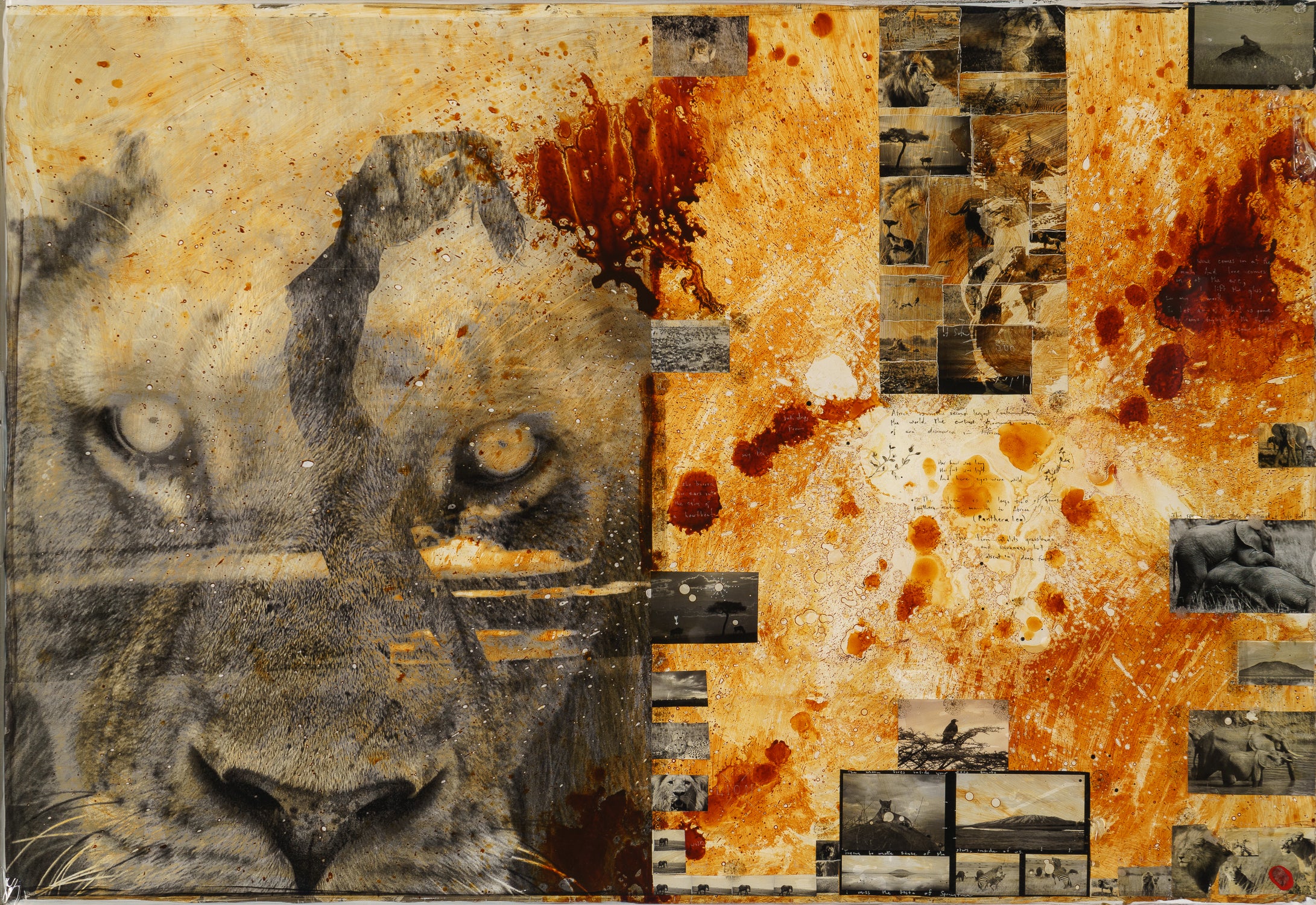 Free Spirit - Image 5