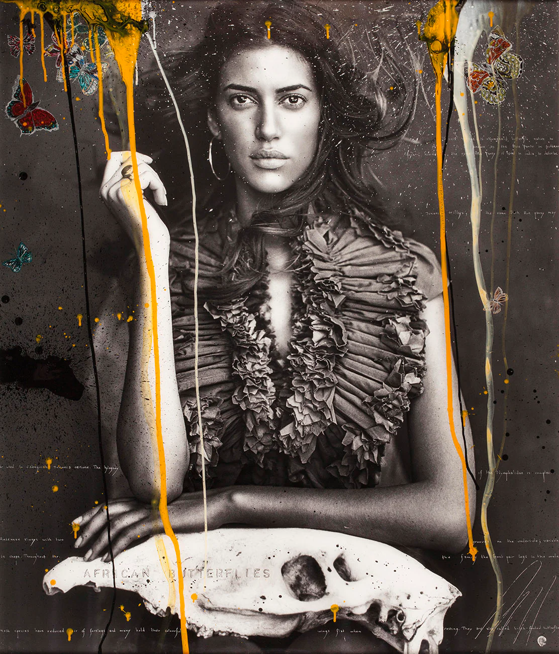 Freedom - Image 2